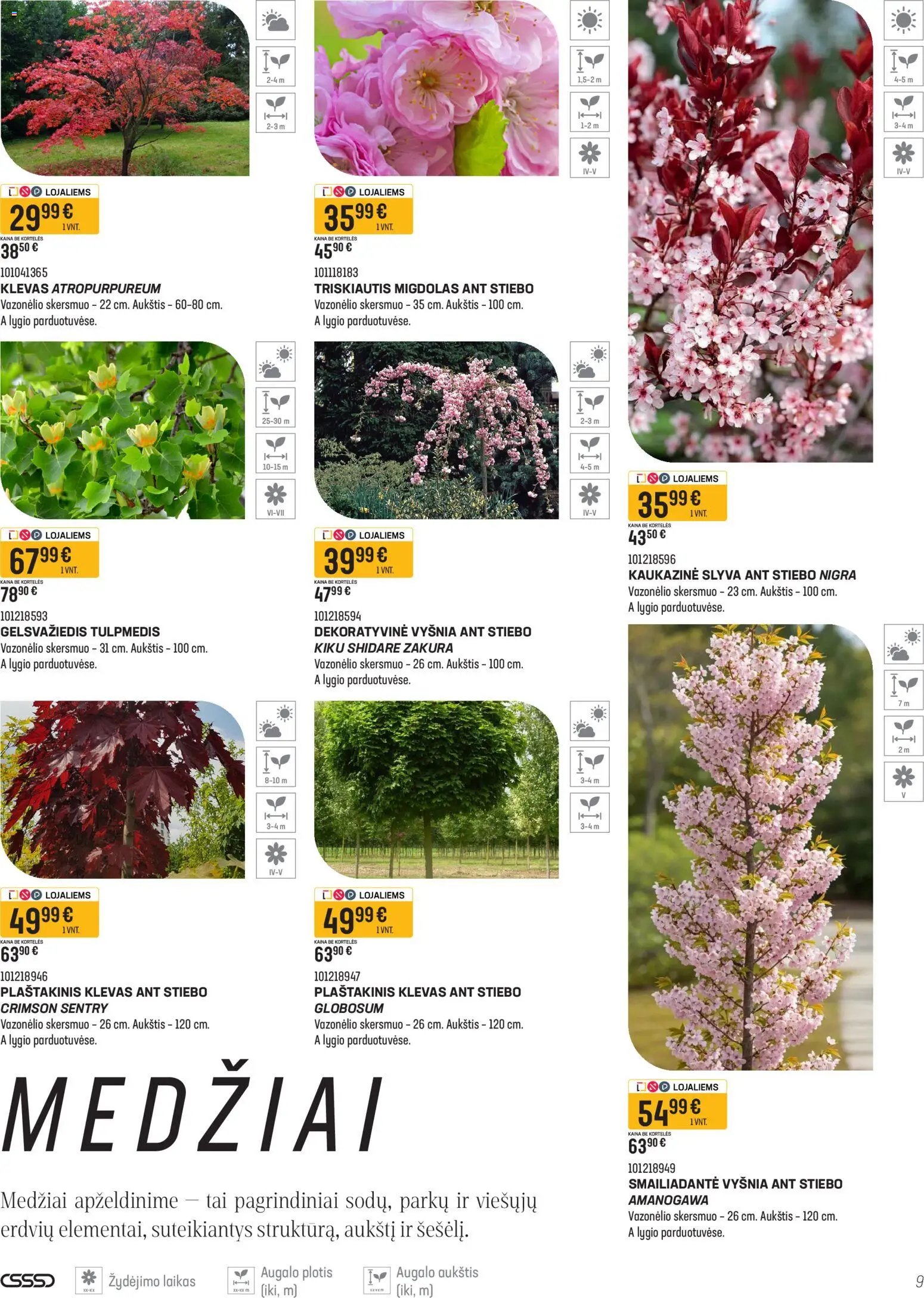 Senukai leidinys - Namini