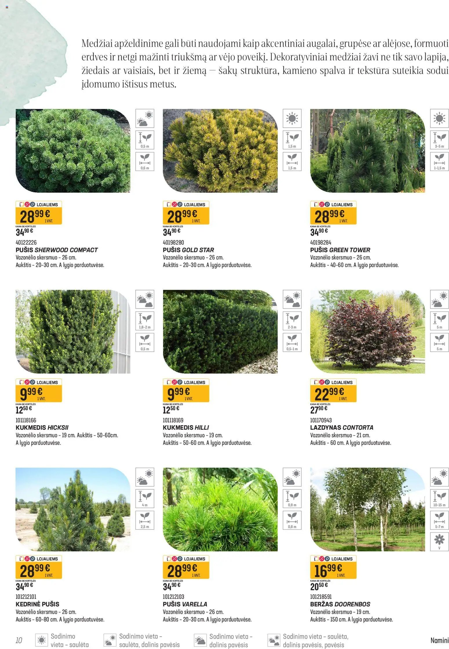 Senukai leidinys - Namini