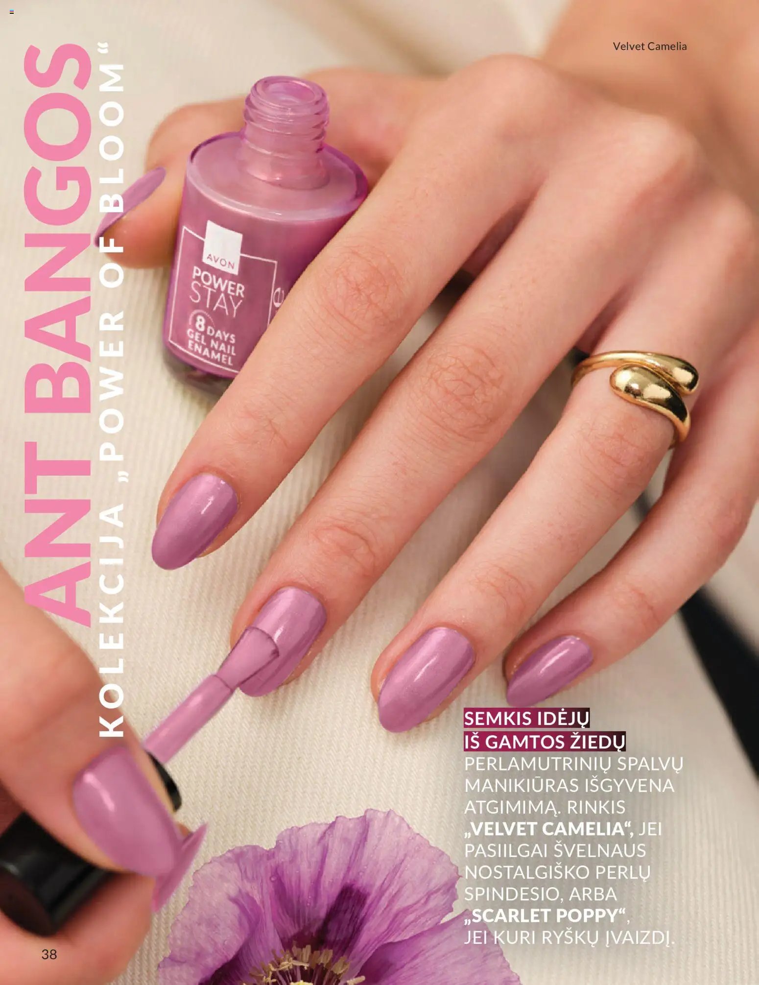 AVON leidinys