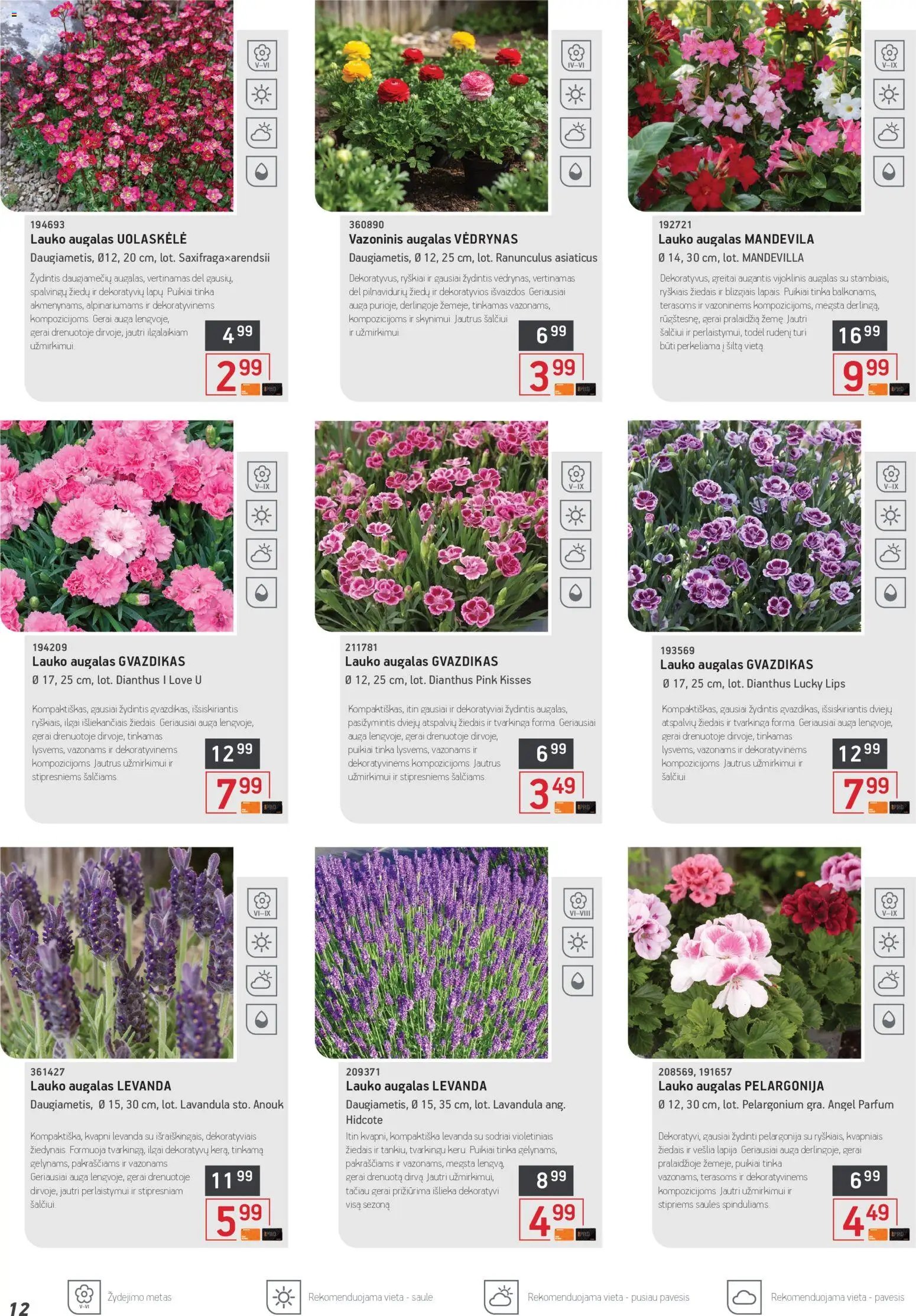 ERMITAŽAS leidinys - Pavasario katalogas