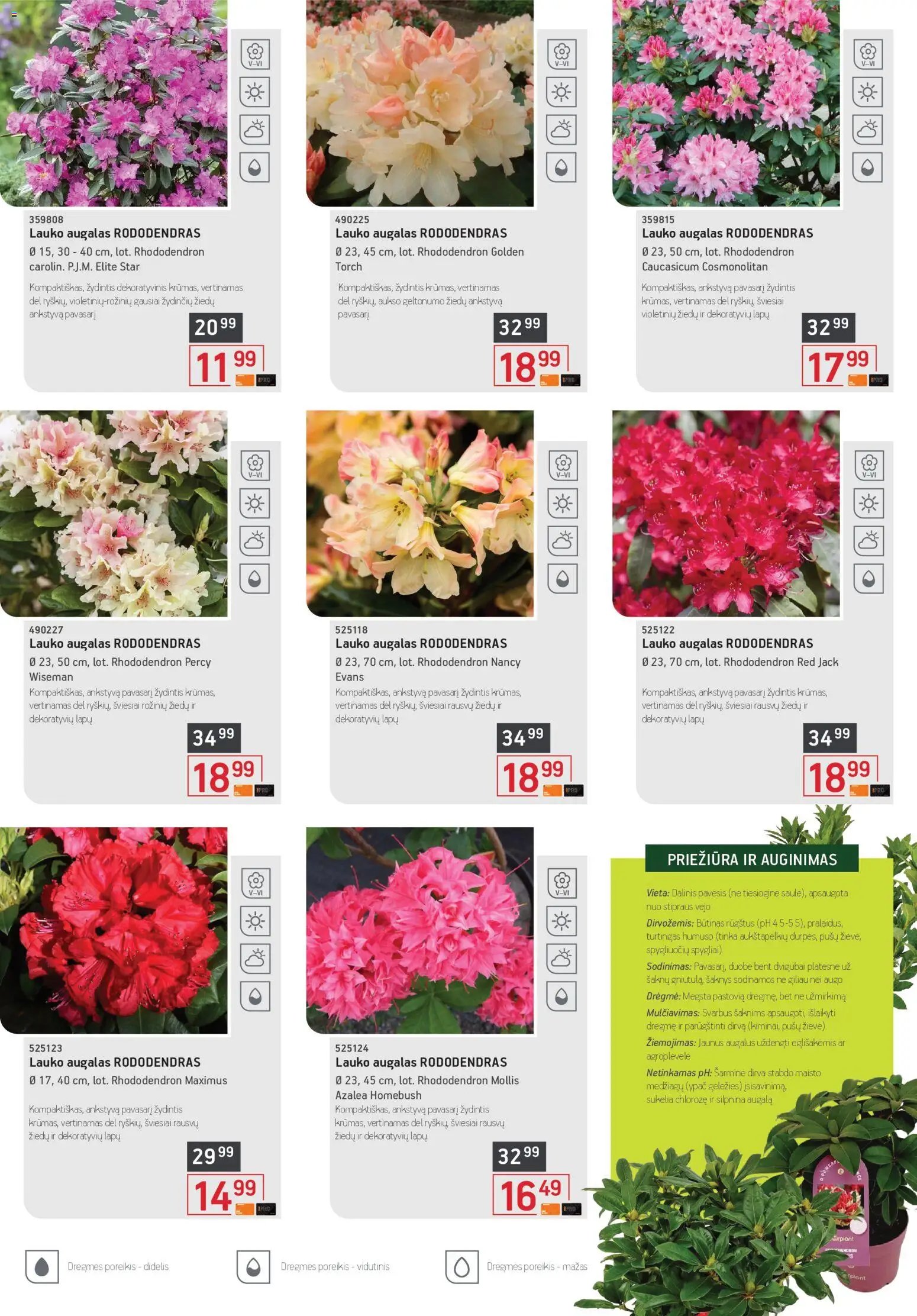 ERMITAŽAS leidinys - Pavasario katalogas