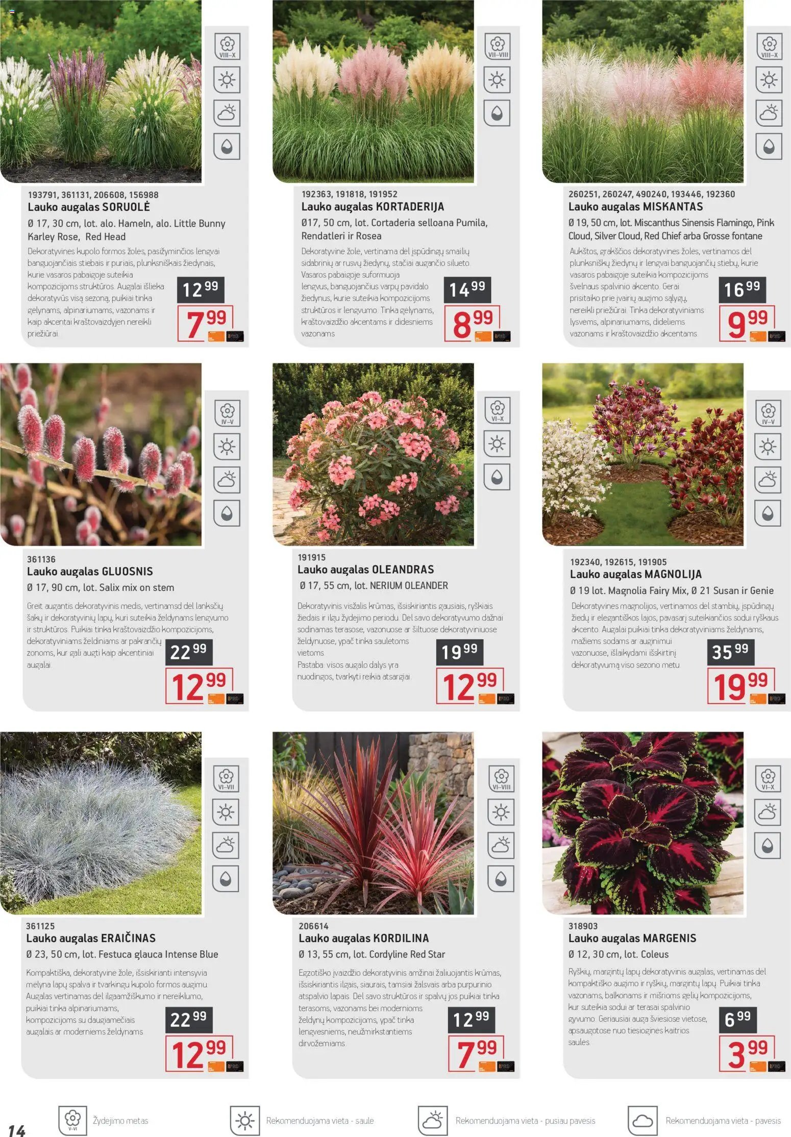 ERMITAŽAS leidinys - Pavasario katalogas