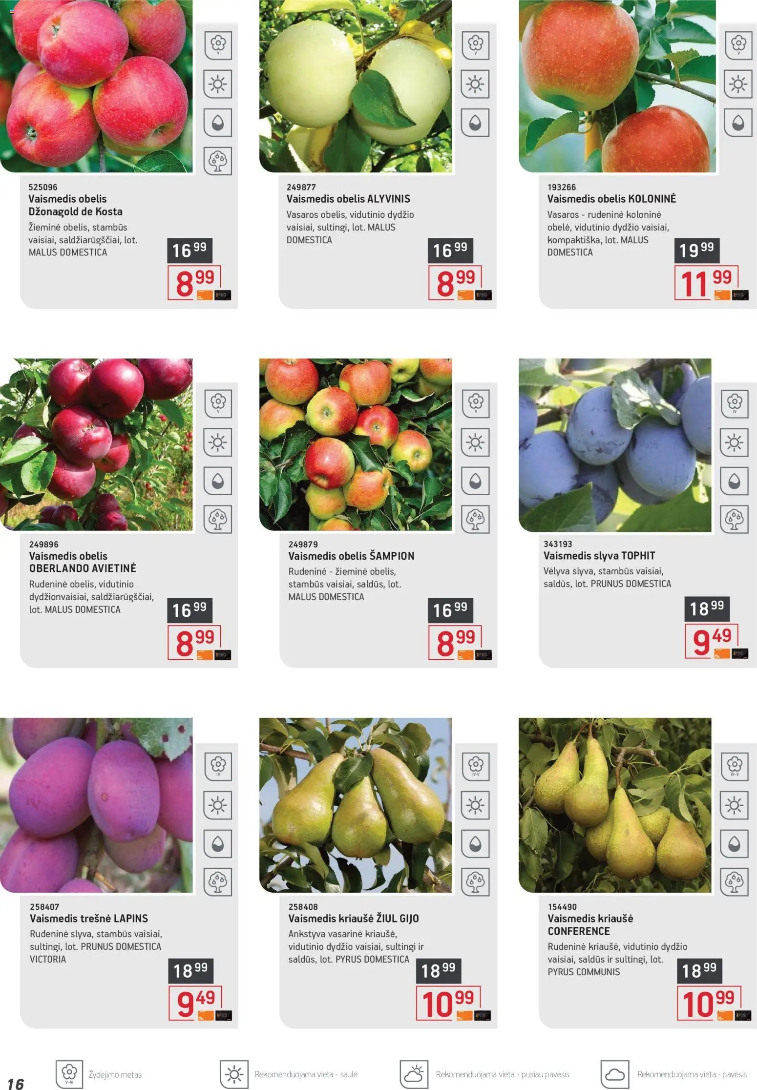 ERMITAŽAS leidinys - Pavasario katalogas