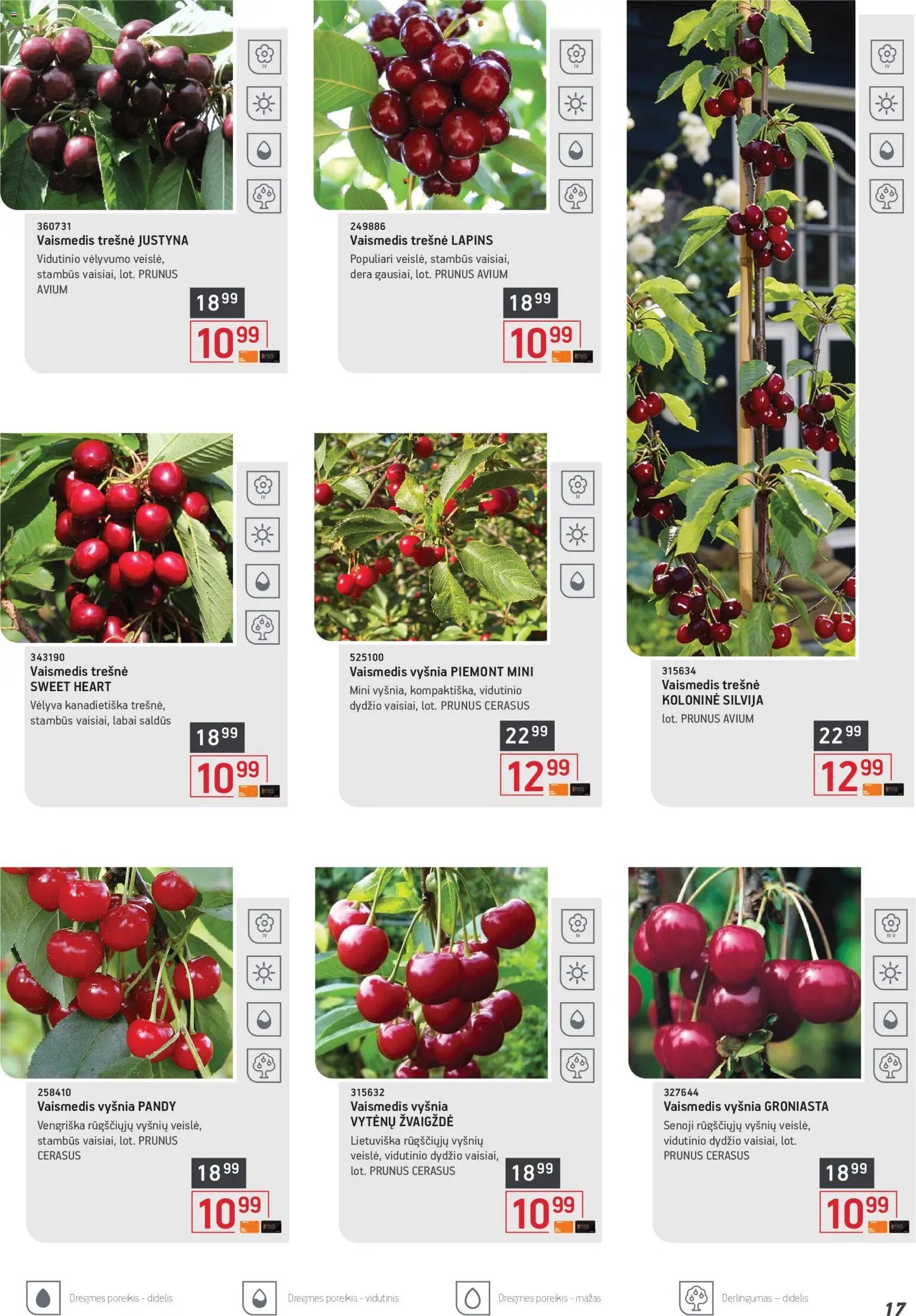 ERMITAŽAS leidinys - Pavasario katalogas