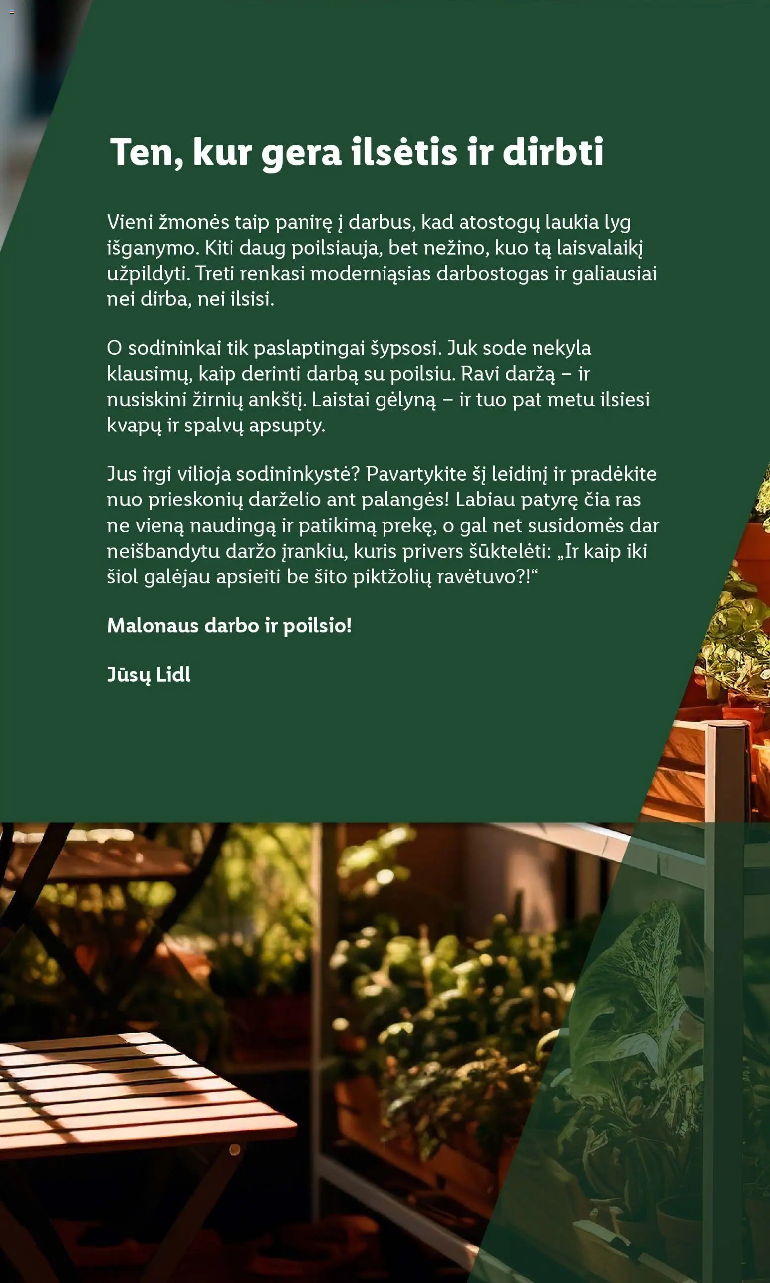 LIDL leidinys - Sodui valio