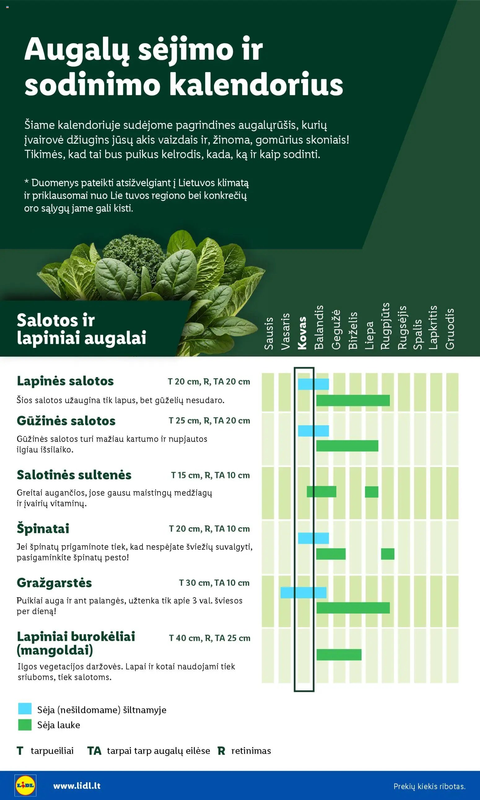 LIDL leidinys - Sodui valio