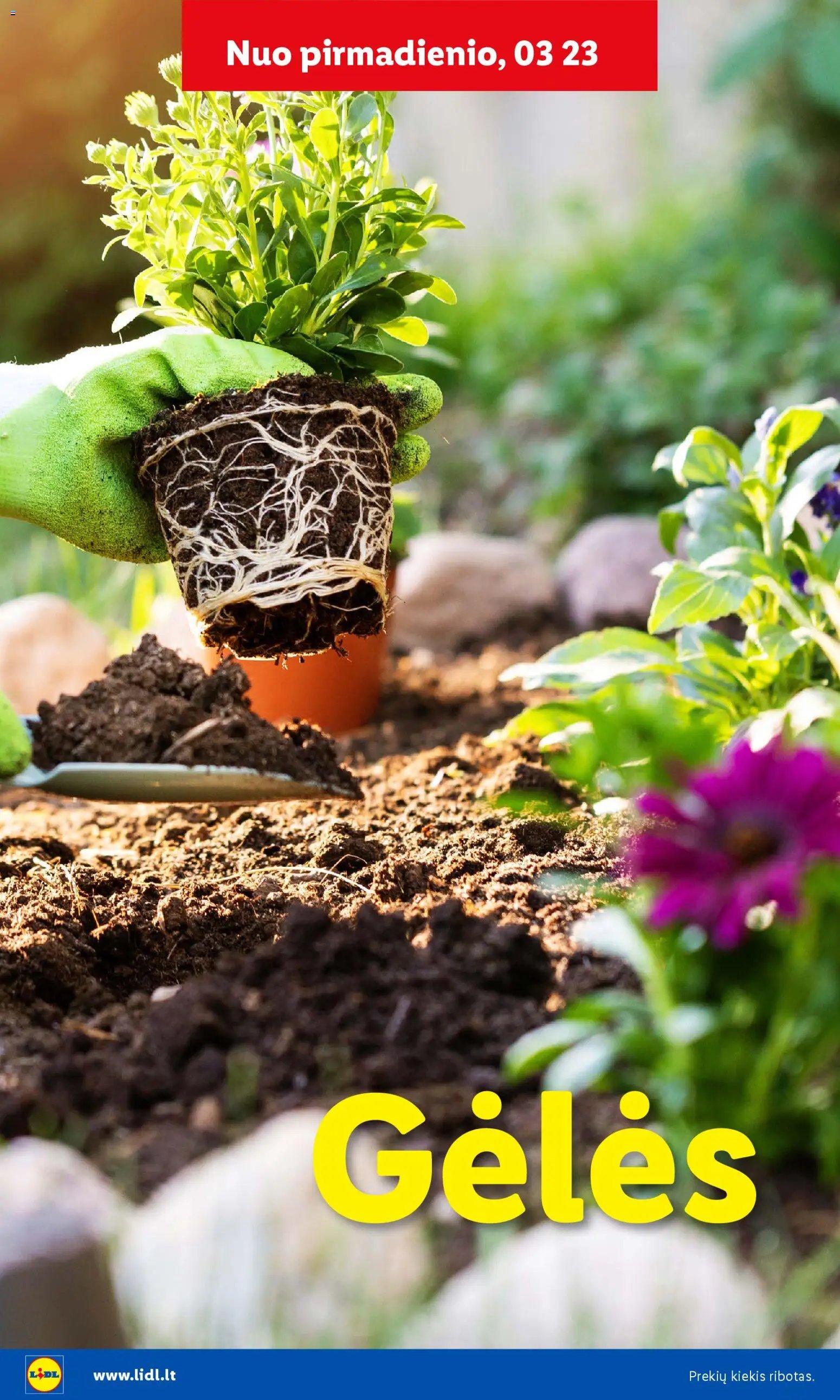 LIDL leidinys - Sodui valio
