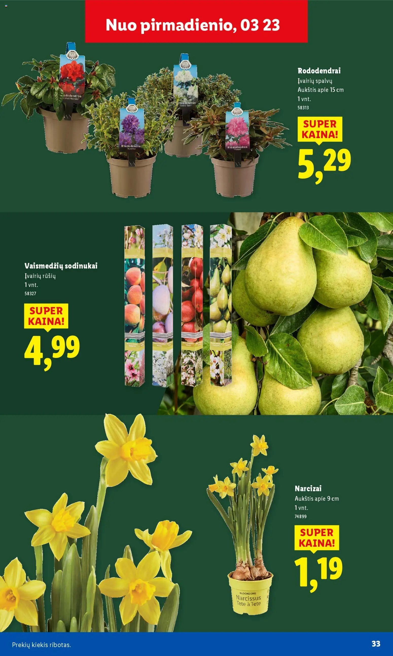 LIDL leidinys - Sodui valio