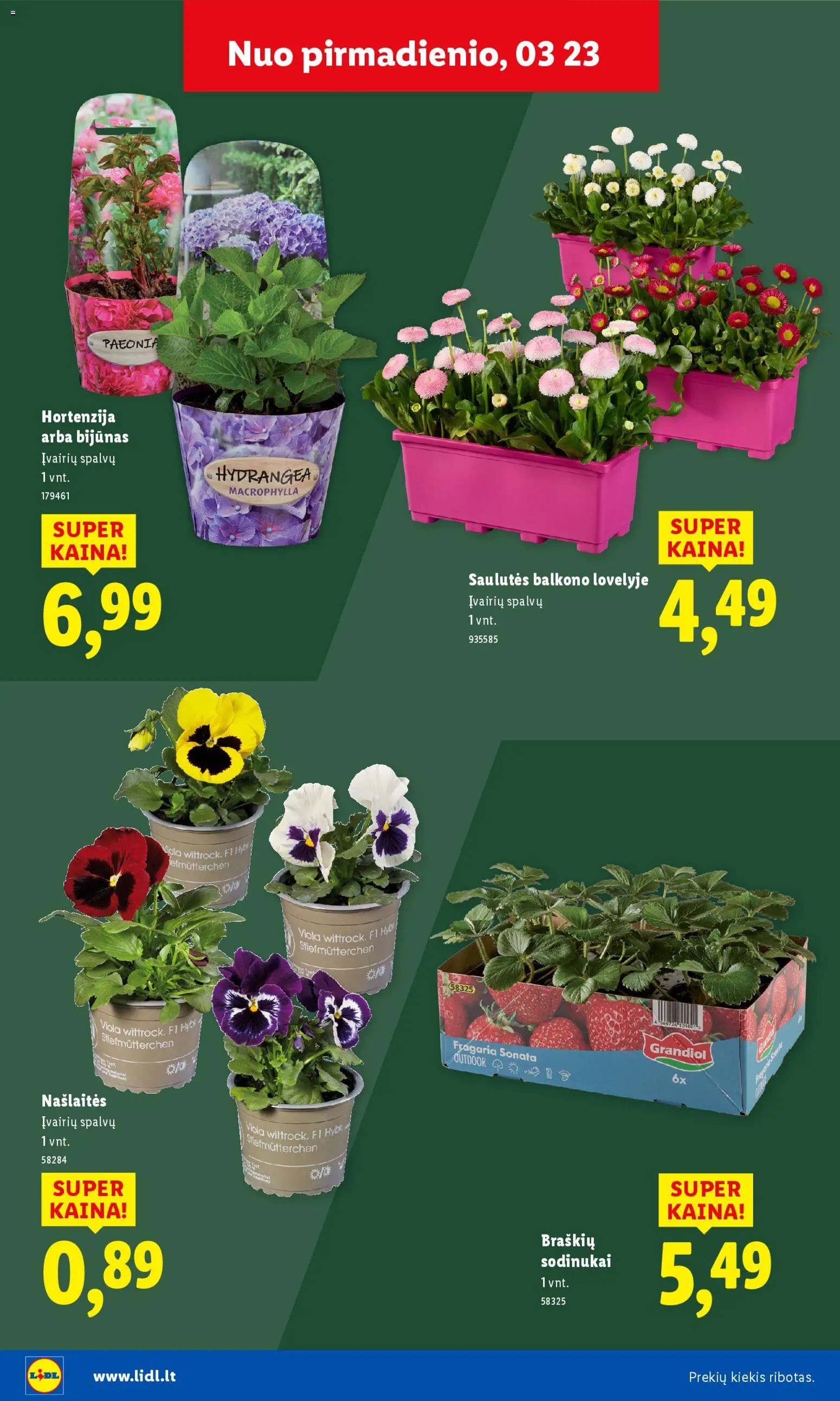 LIDL leidinys - Sodui valio