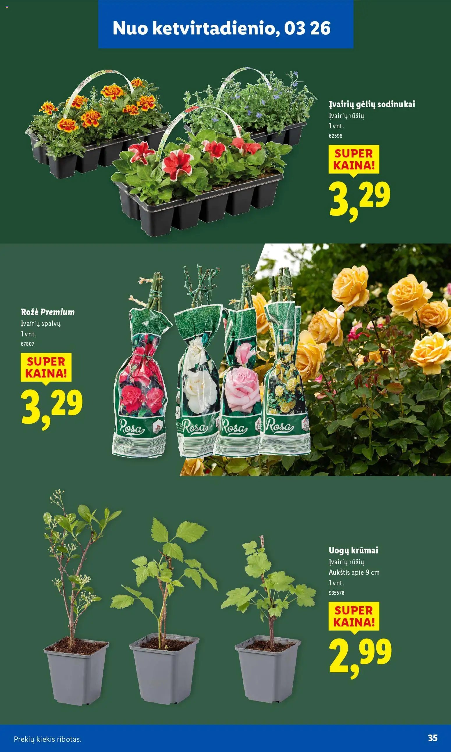 LIDL leidinys - Sodui valio