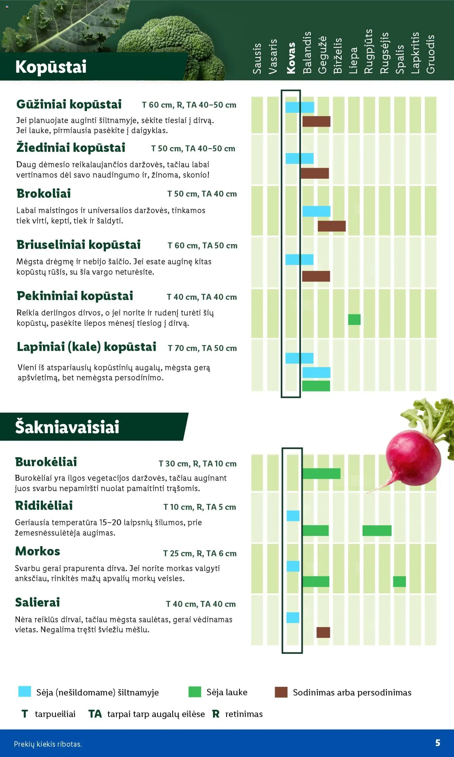 LIDL leidinys - Sodui valio