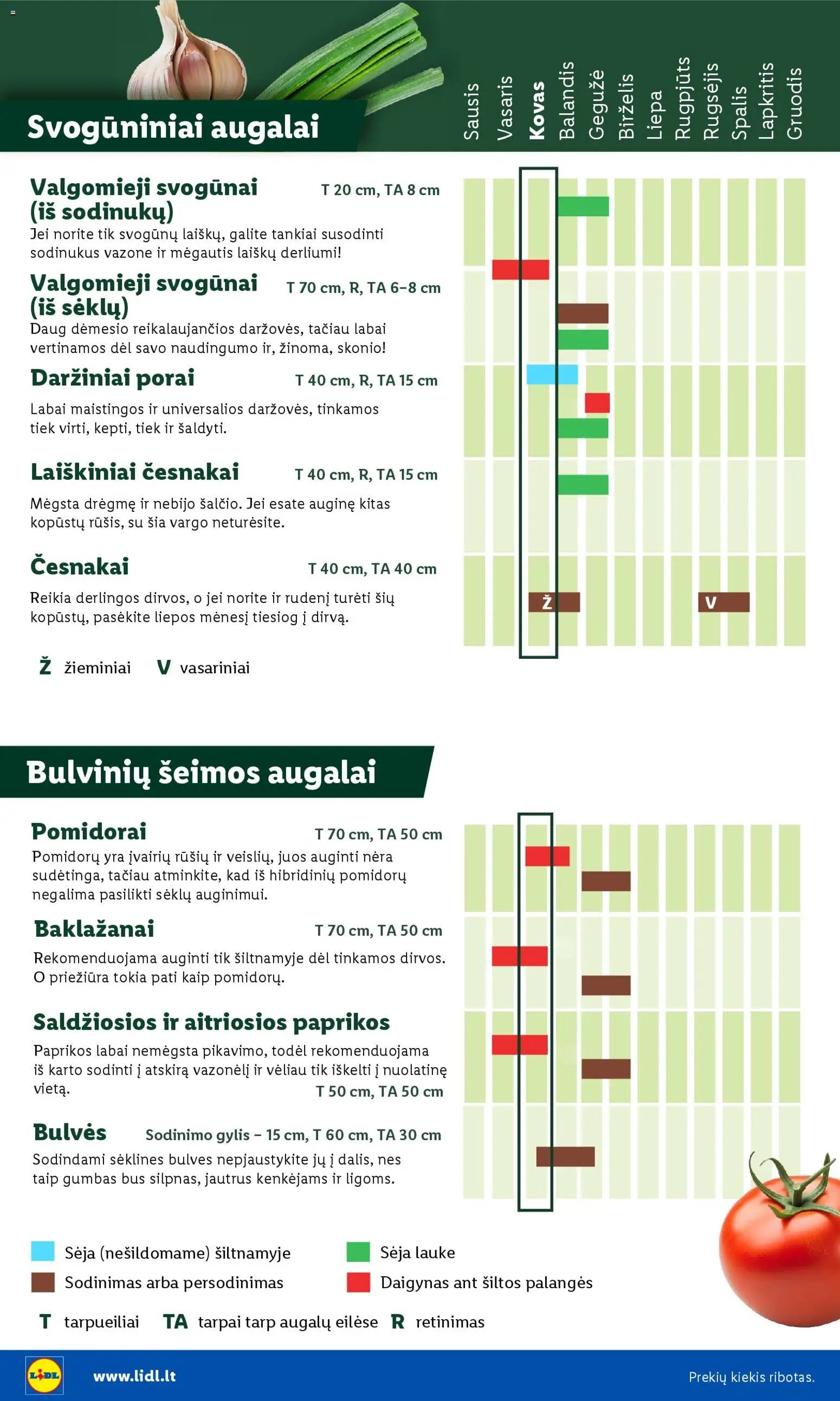 LIDL leidinys - Sodui valio