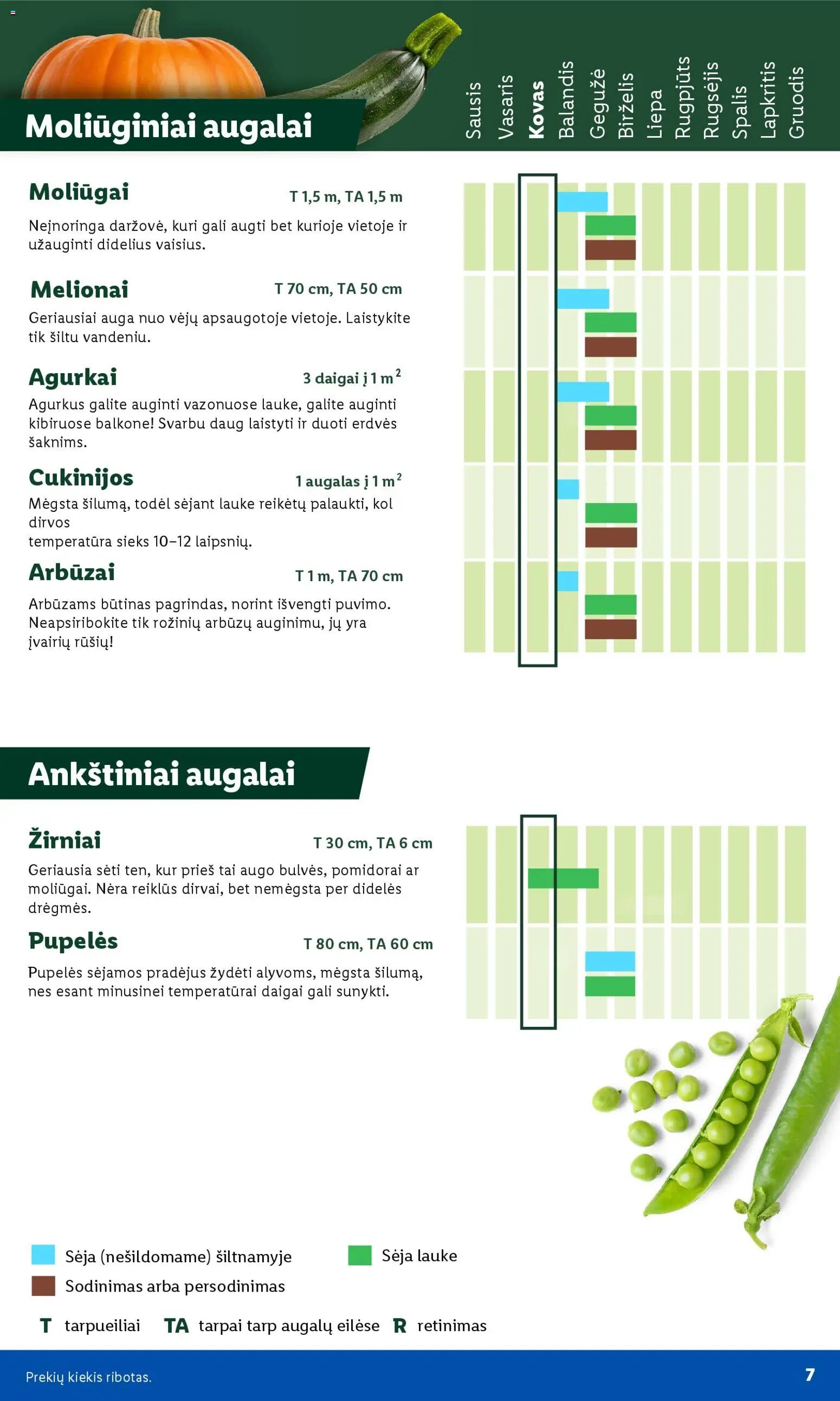 LIDL leidinys - Sodui valio