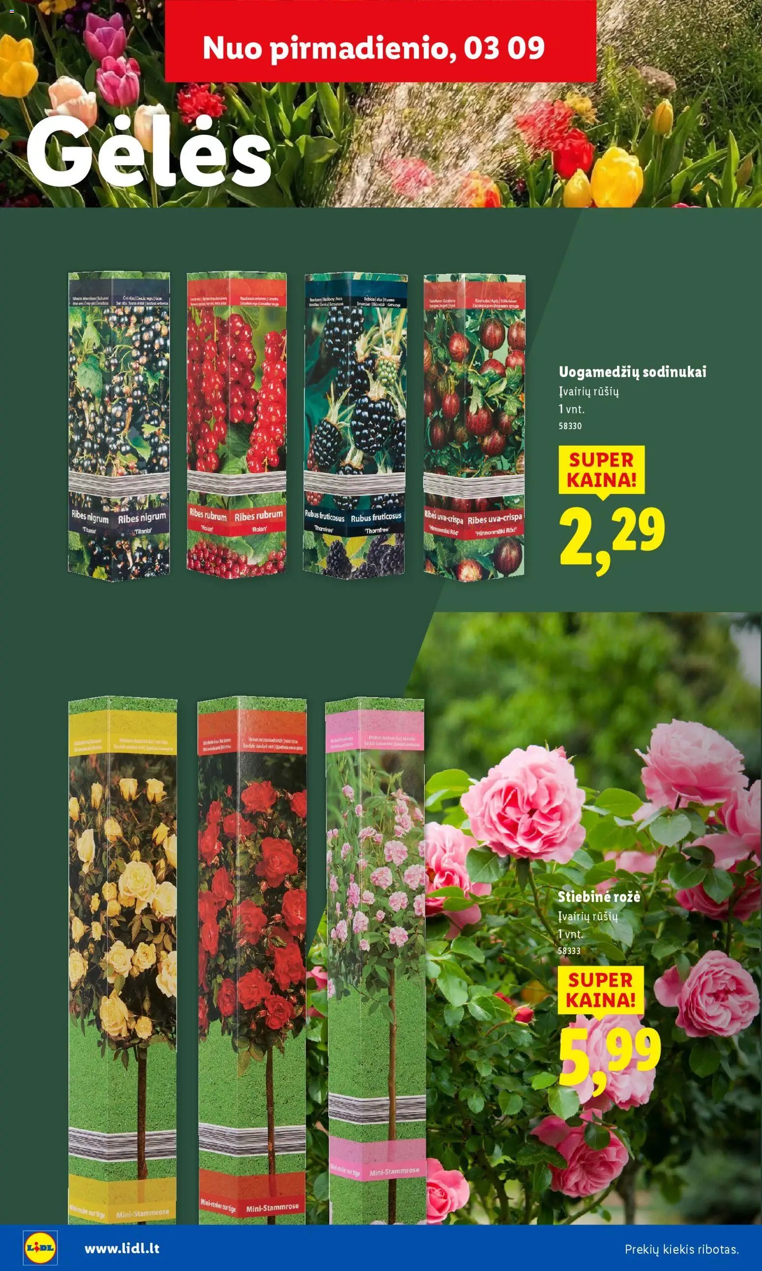 LIDL leidinys - Sodui valio