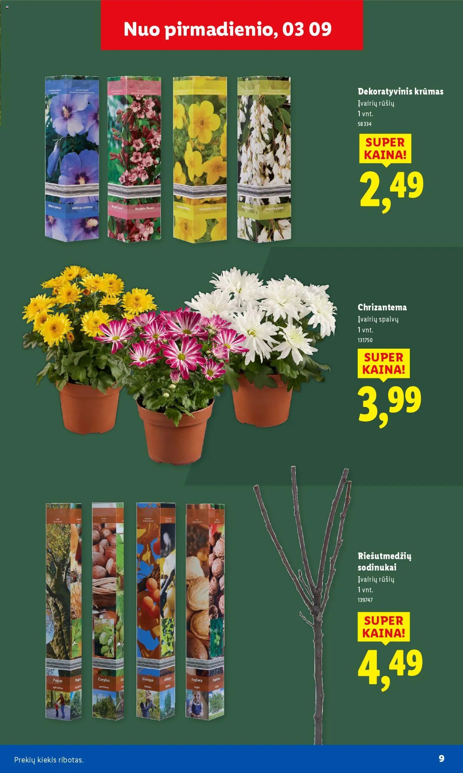 LIDL leidinys - Sodui valio