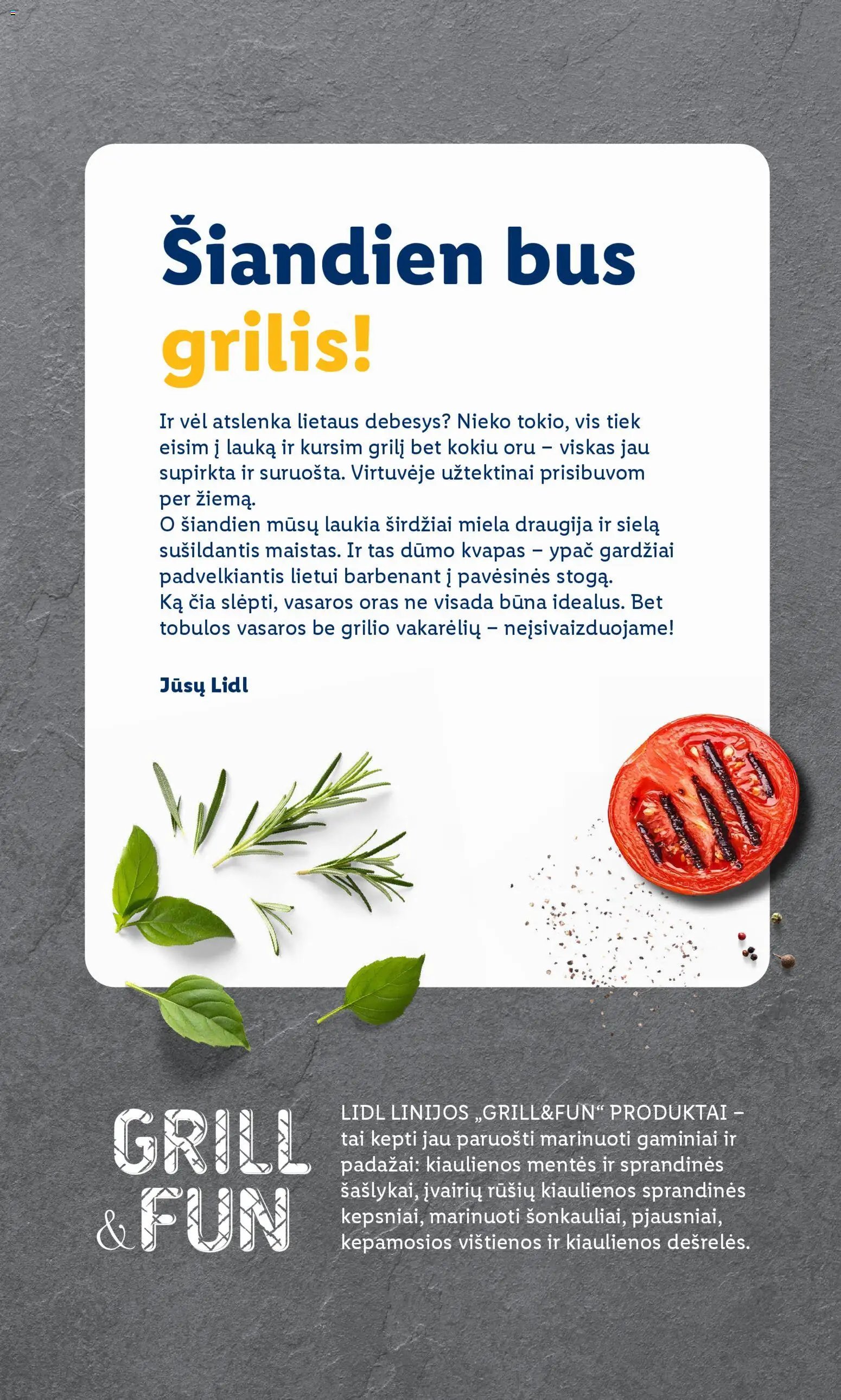 LIDL leidinys - Grilio katalogas