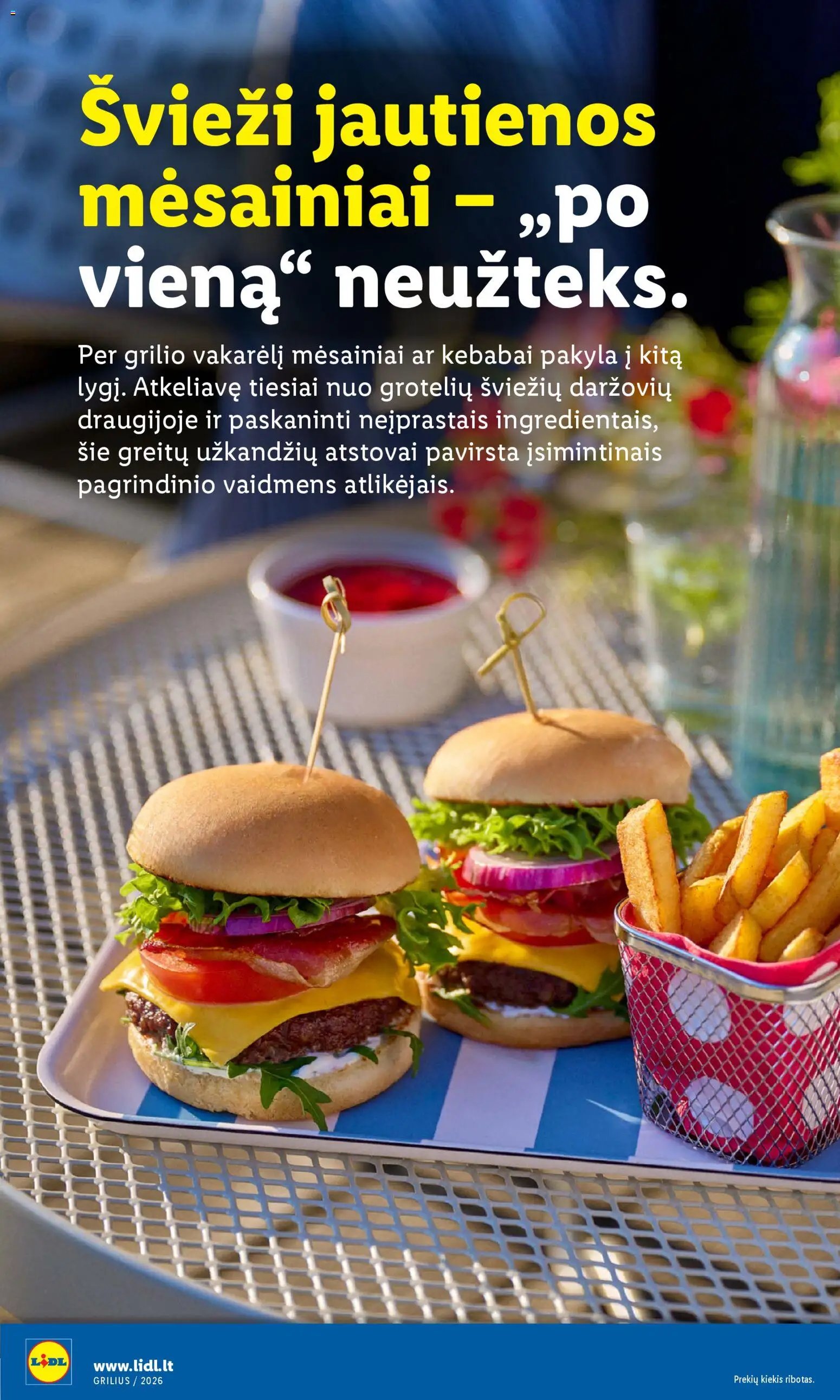 LIDL leidinys - Grilio katalogas