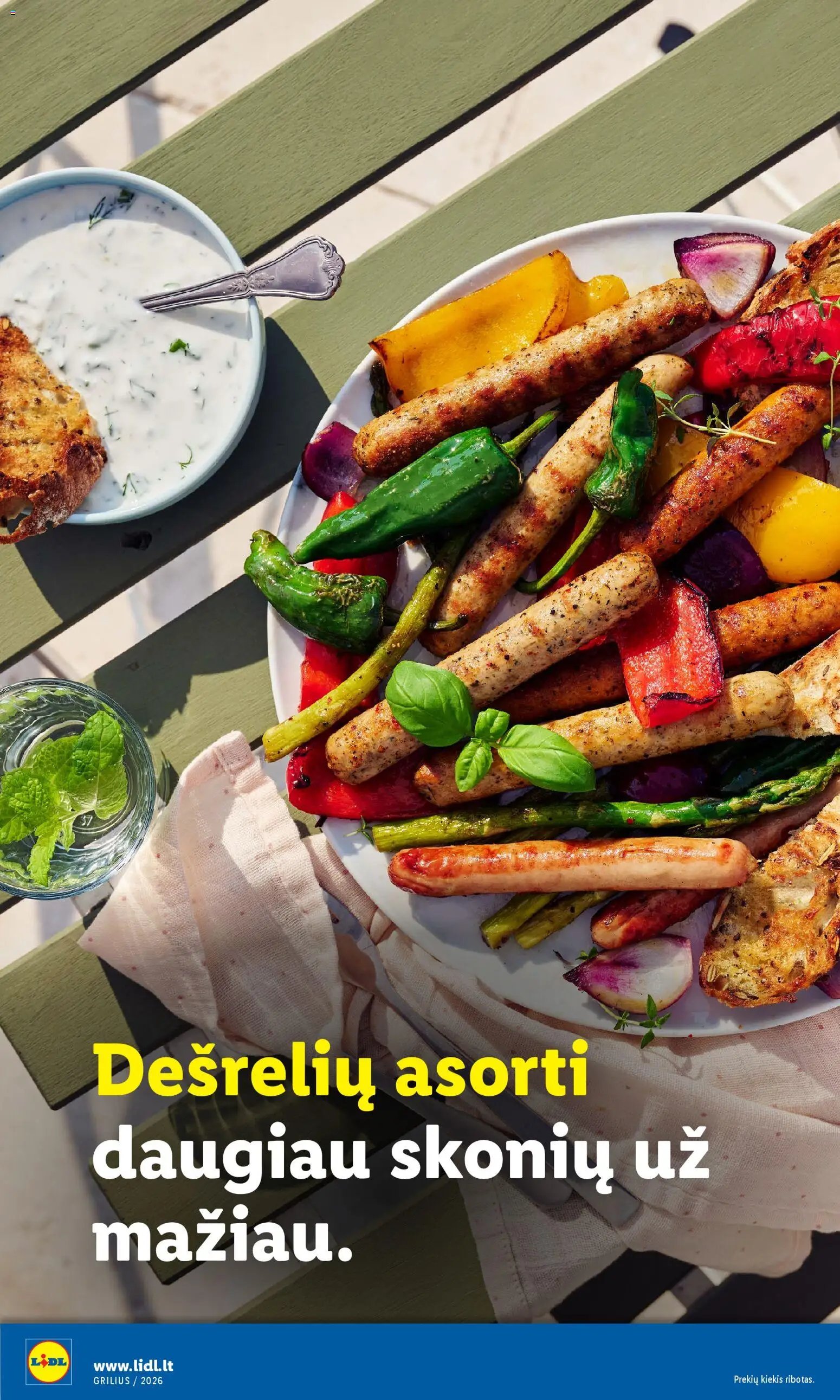 LIDL leidinys - Grilio katalogas