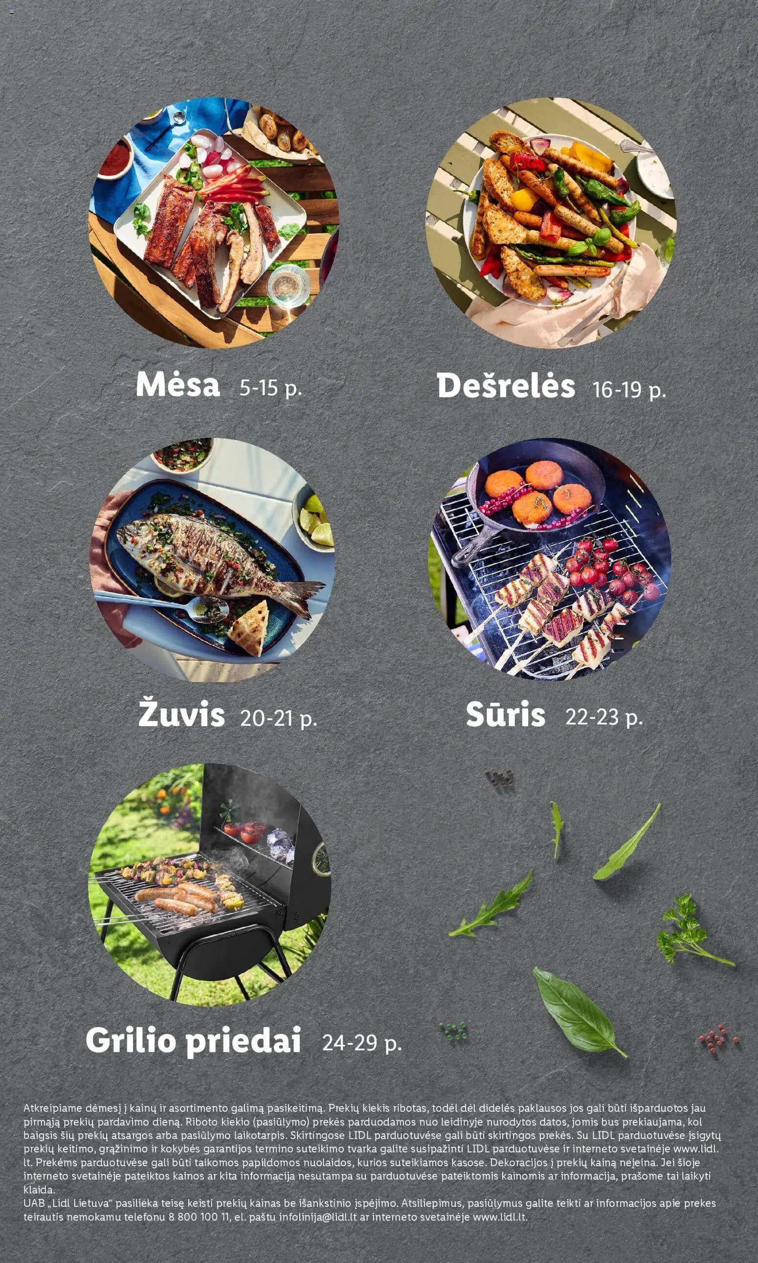 LIDL leidinys - Grilio katalogas