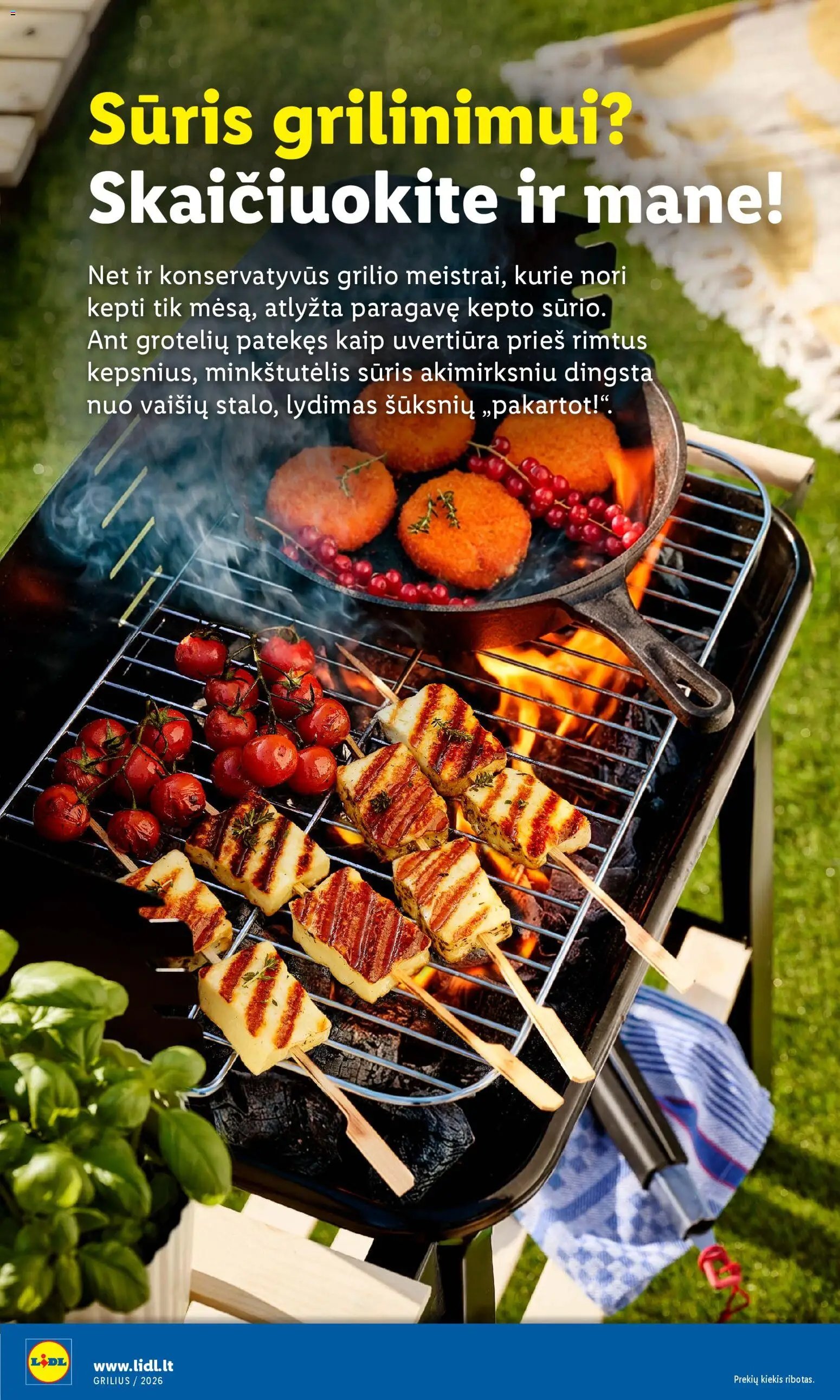 LIDL leidinys - Grilio katalogas