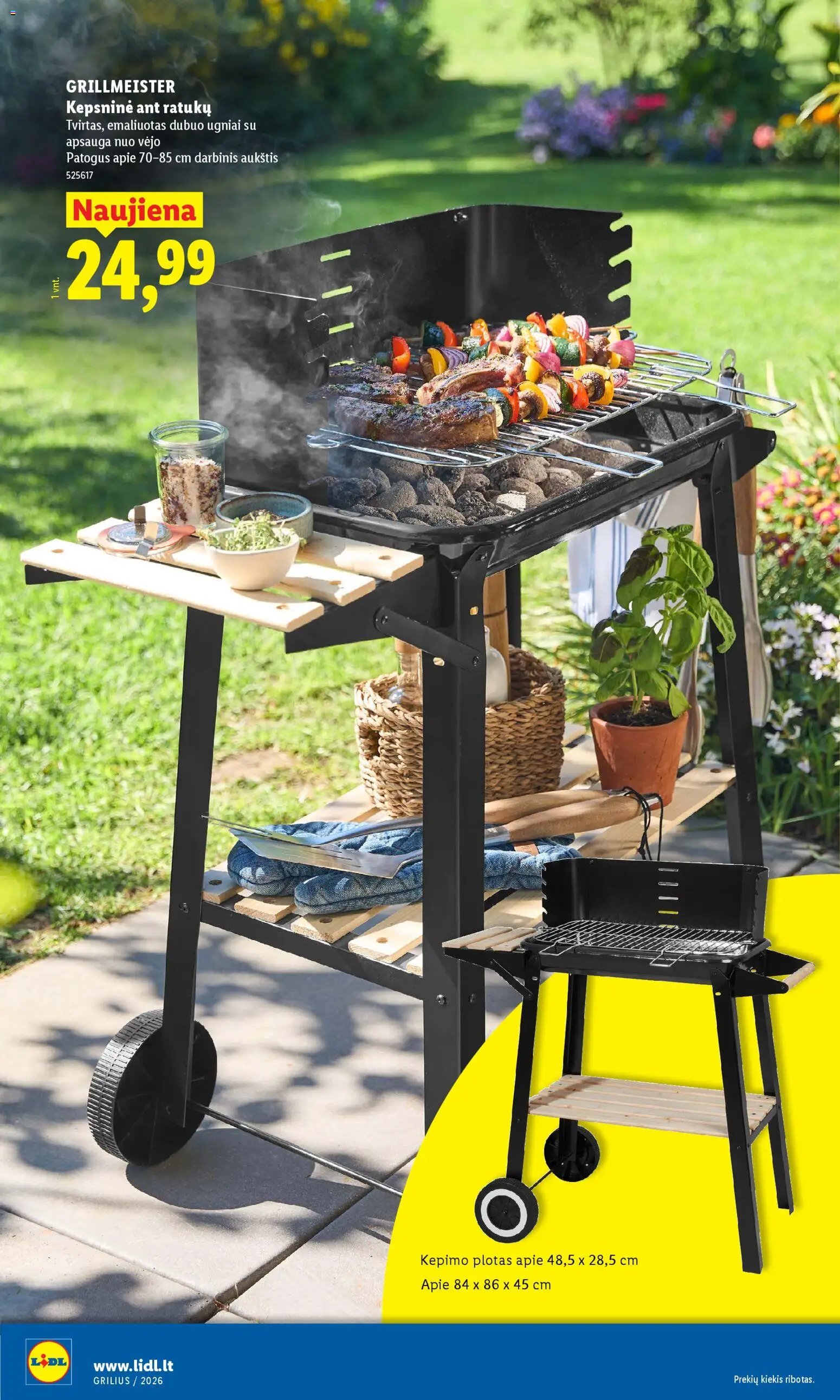 LIDL leidinys - Grilio katalogas