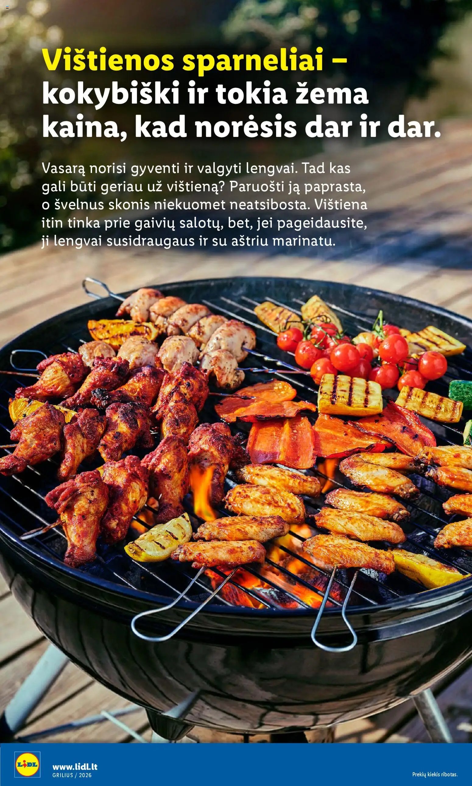 LIDL leidinys - Grilio katalogas