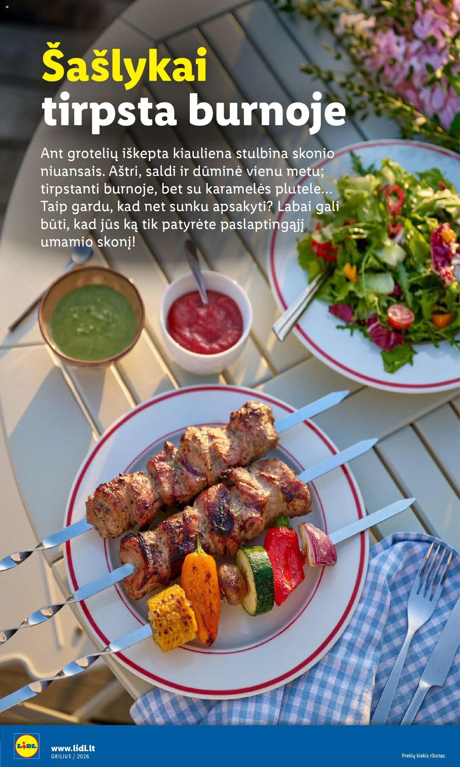 LIDL leidinys - Grilio katalogas