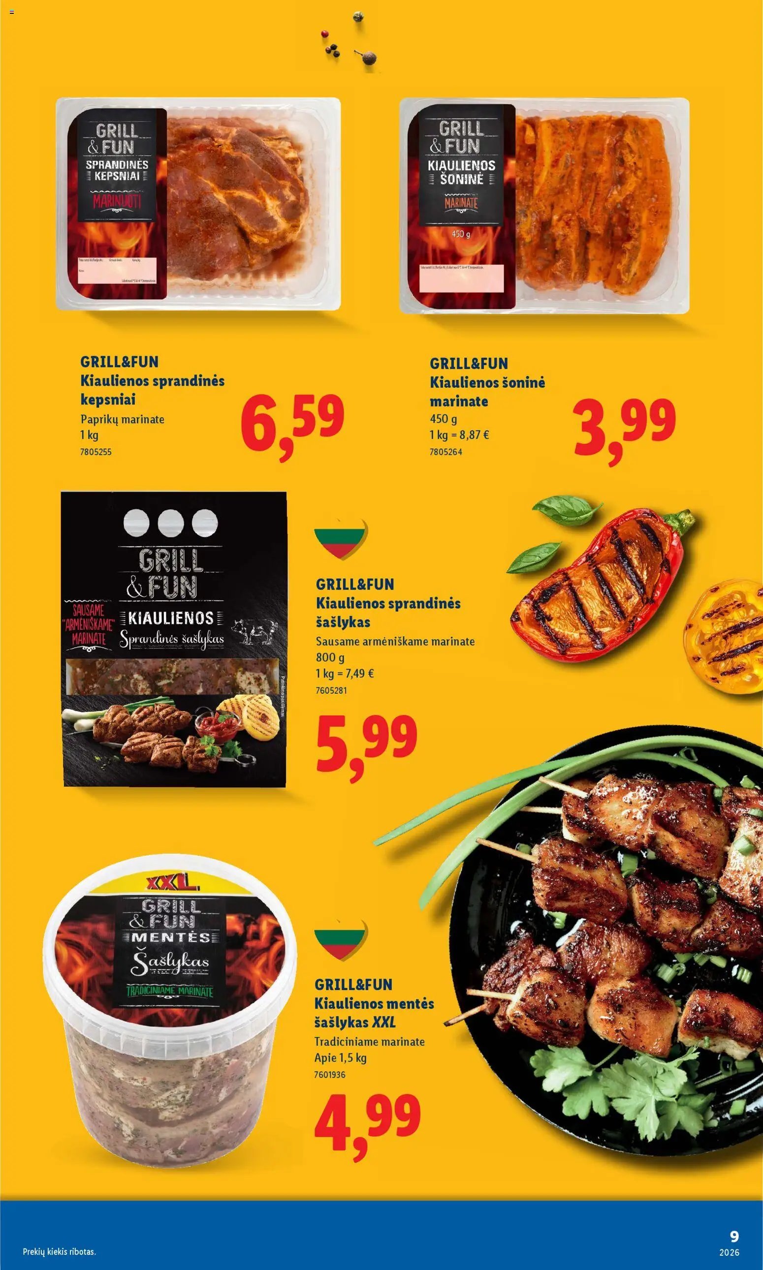 LIDL leidinys - Grilio katalogas