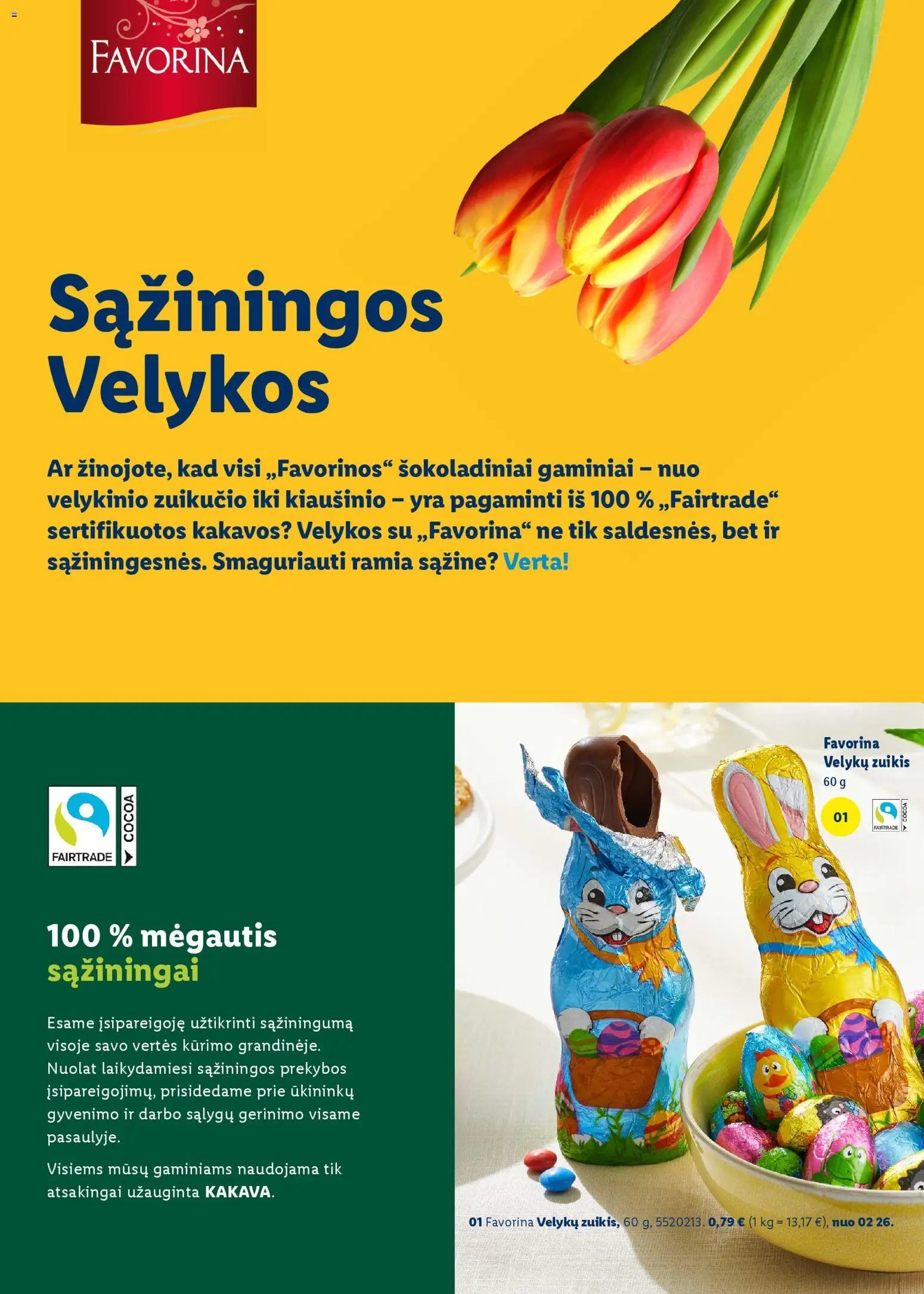 LIDL leidinys - Velykų katalogas