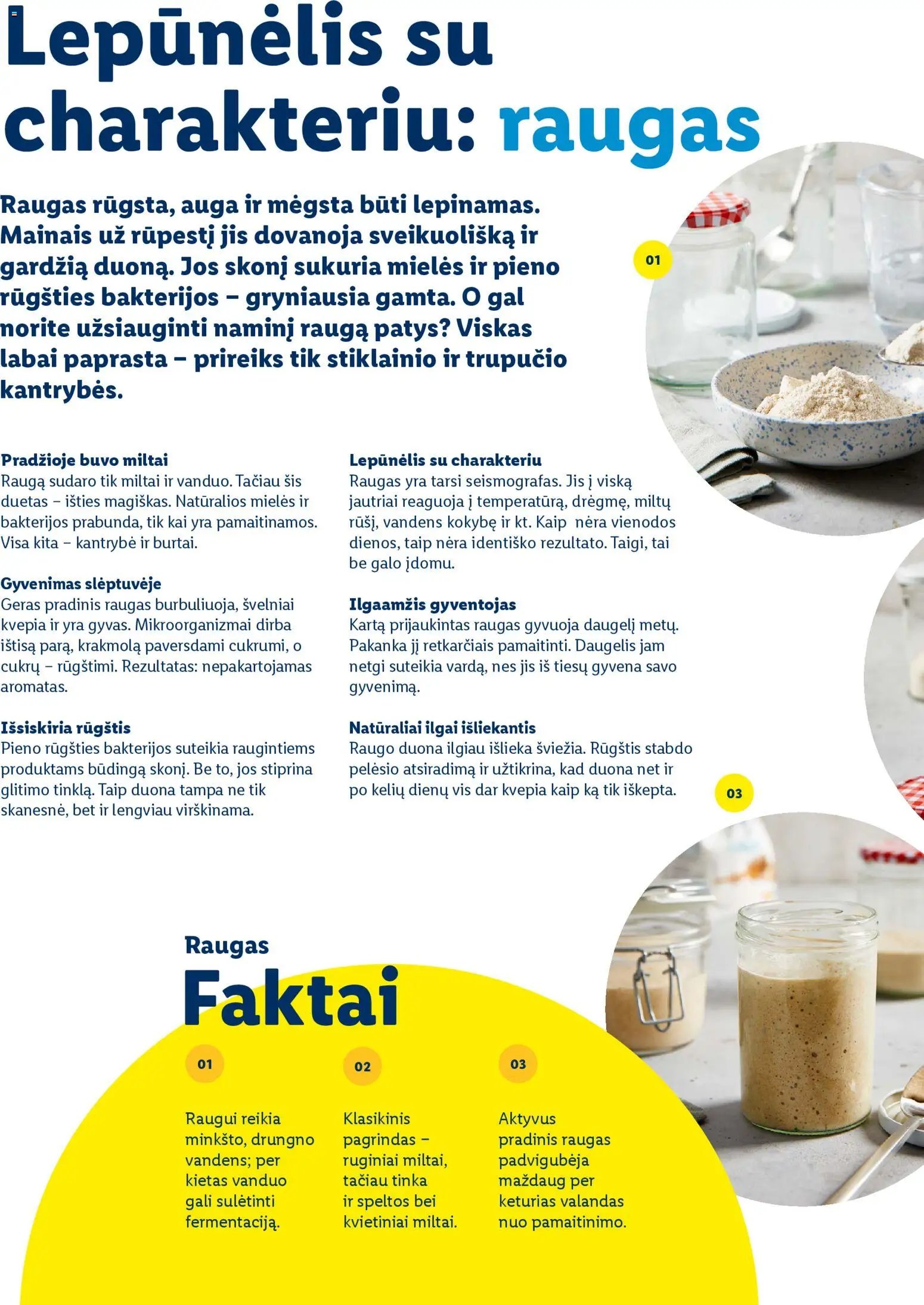 LIDL leidinys - Velykų katalogas