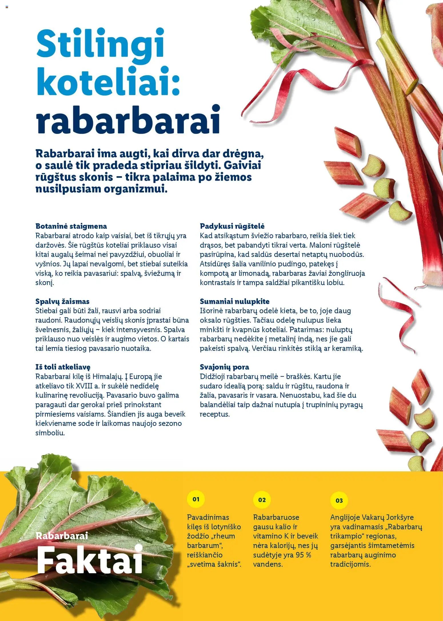 LIDL leidinys - Velykų katalogas