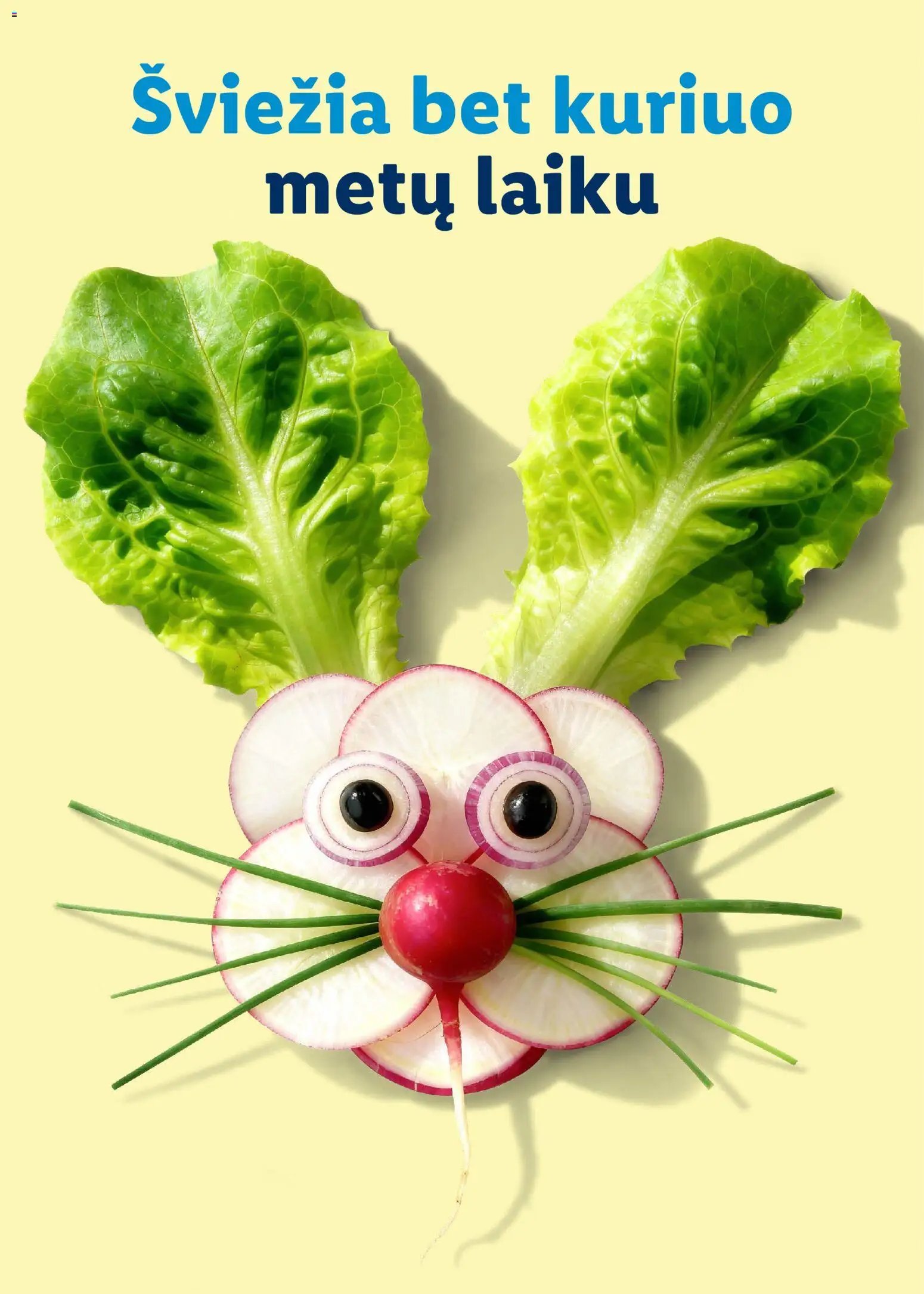 LIDL leidinys - Velykų katalogas