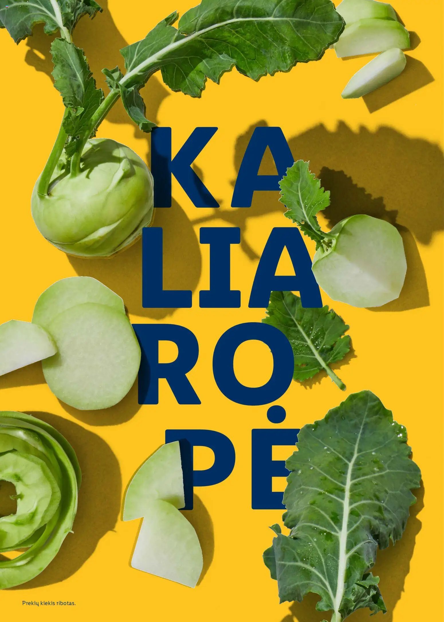 LIDL leidinys - Velykų katalogas