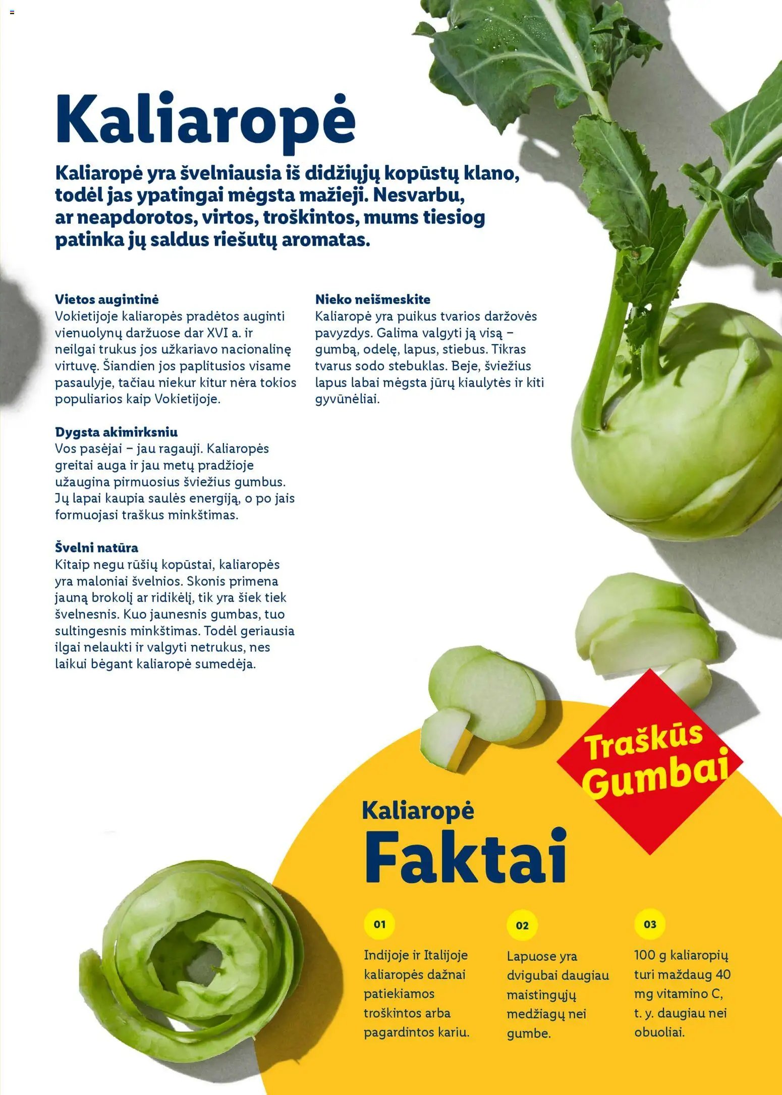 LIDL leidinys - Velykų katalogas