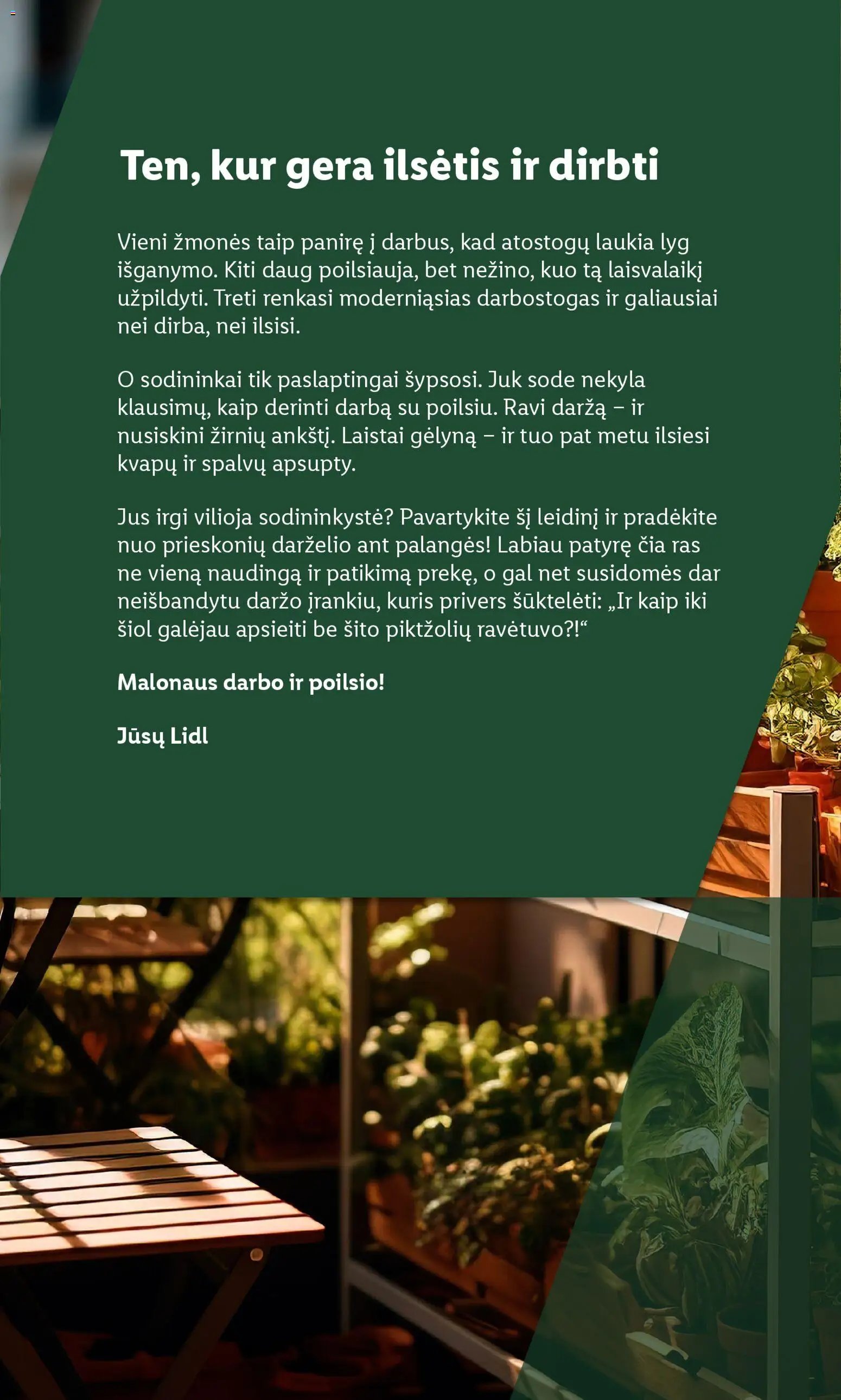 LIDL leidinys - Sodui valio