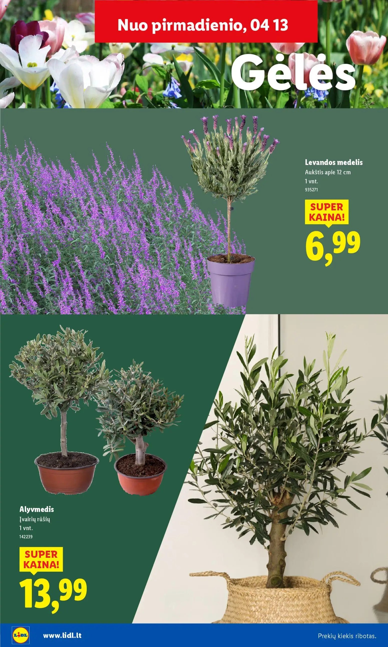 LIDL leidinys - Sodui valio