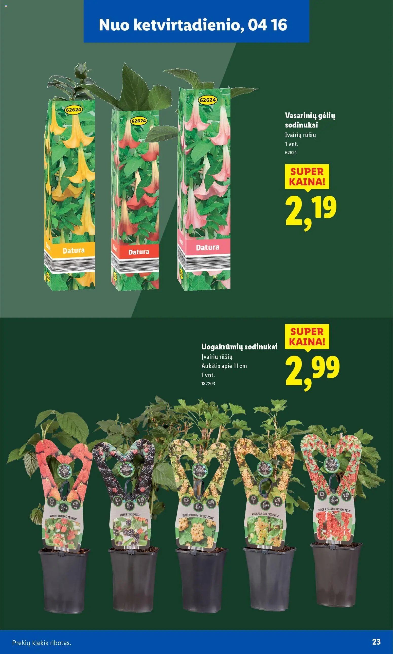 LIDL leidinys - Sodui valio