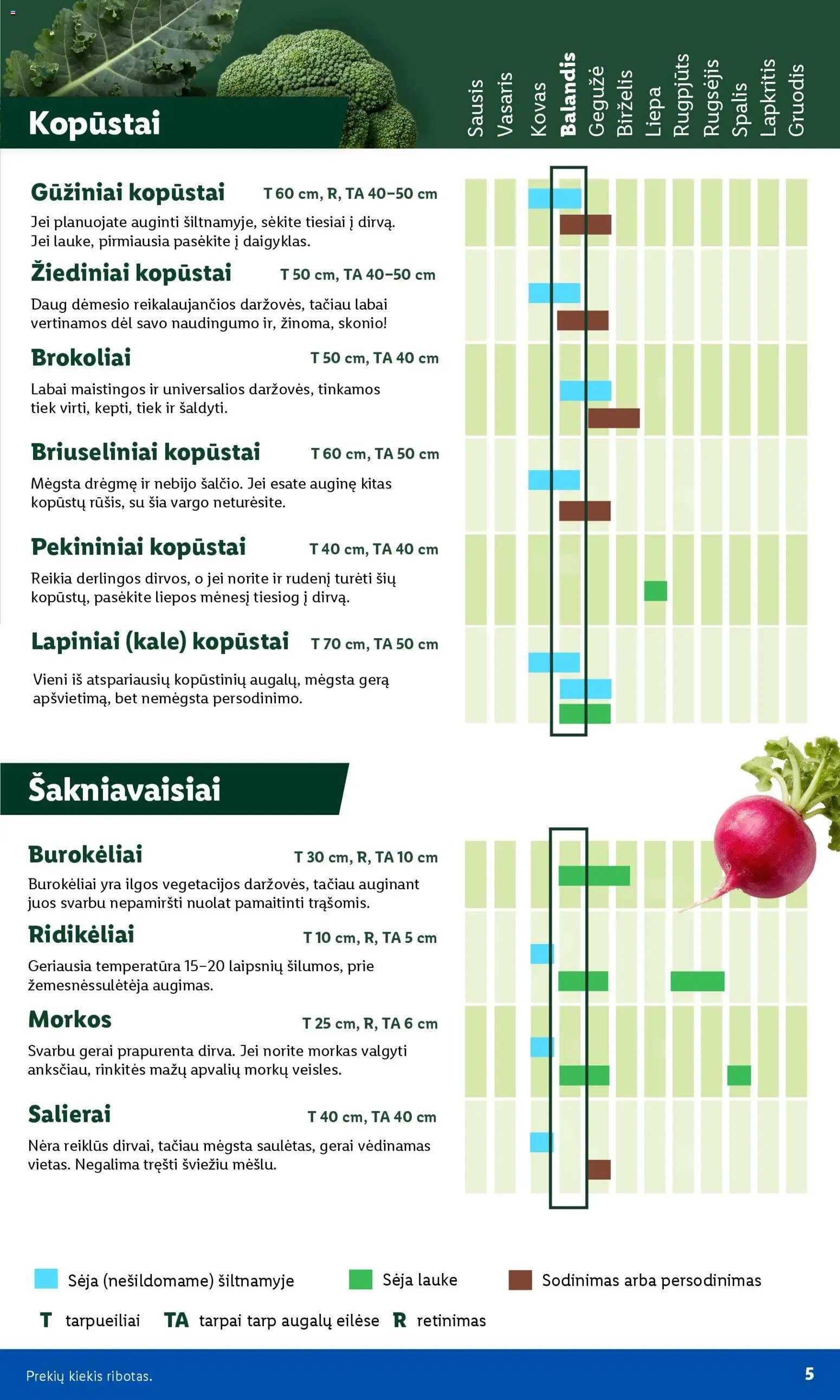 LIDL leidinys - Sodui valio