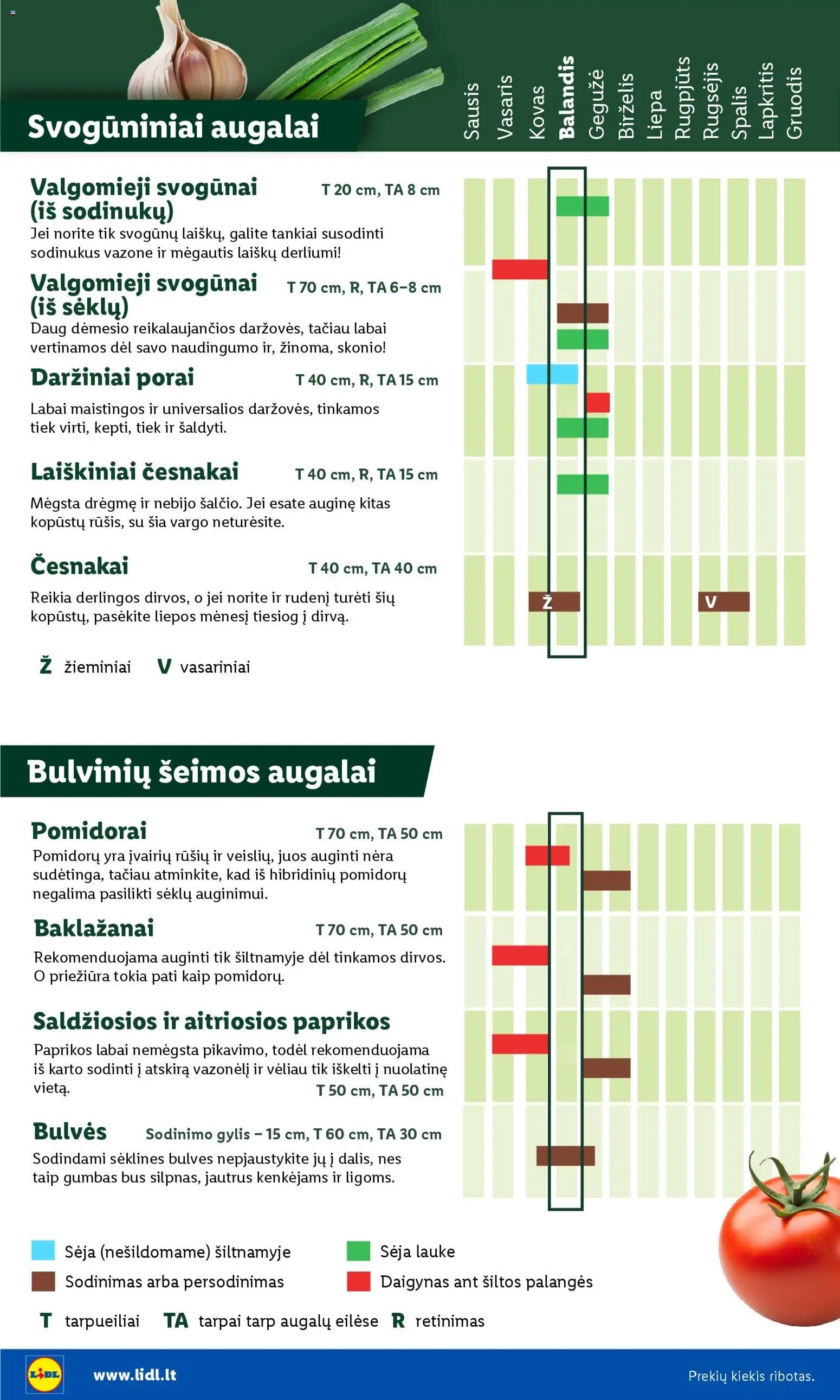 LIDL leidinys - Sodui valio