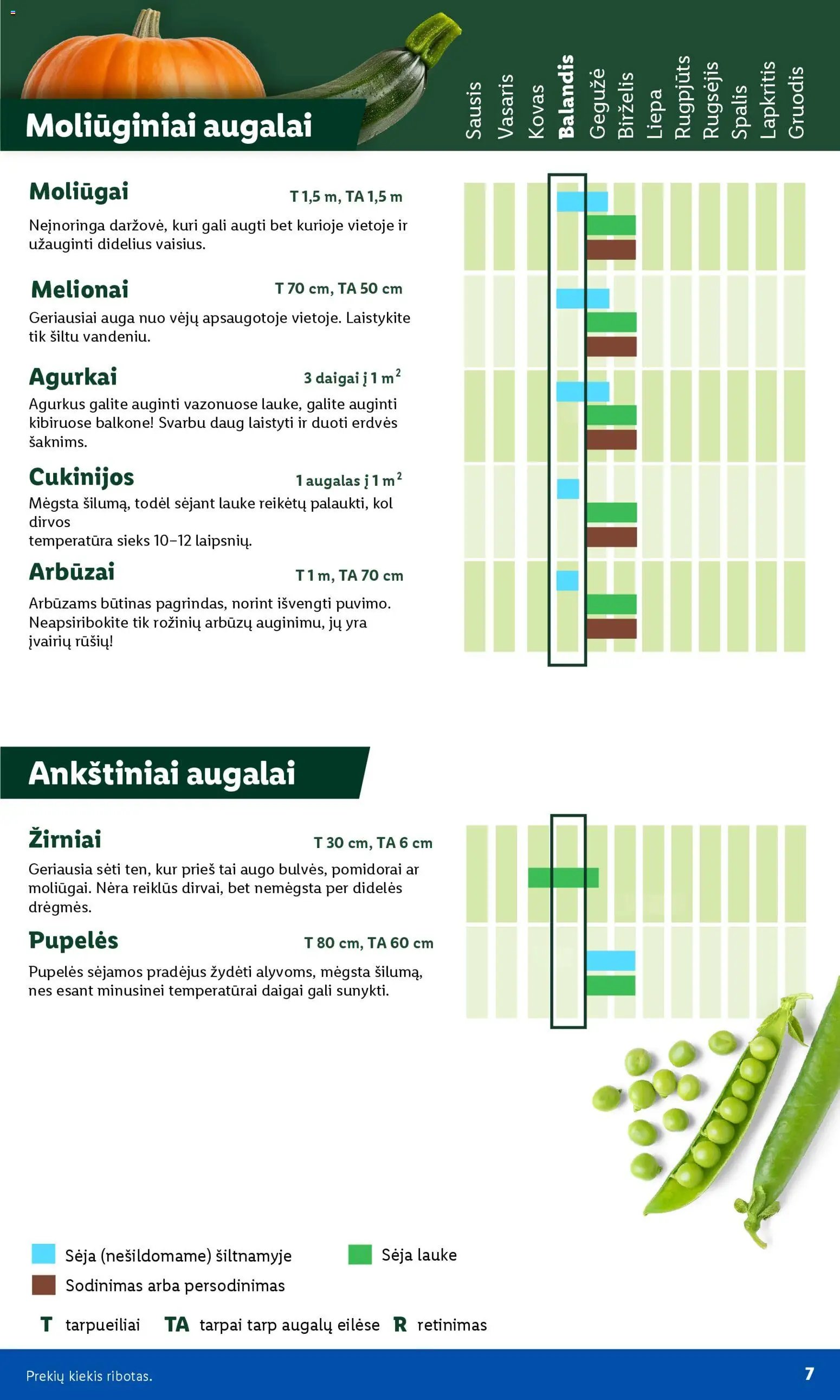 LIDL leidinys - Sodui valio