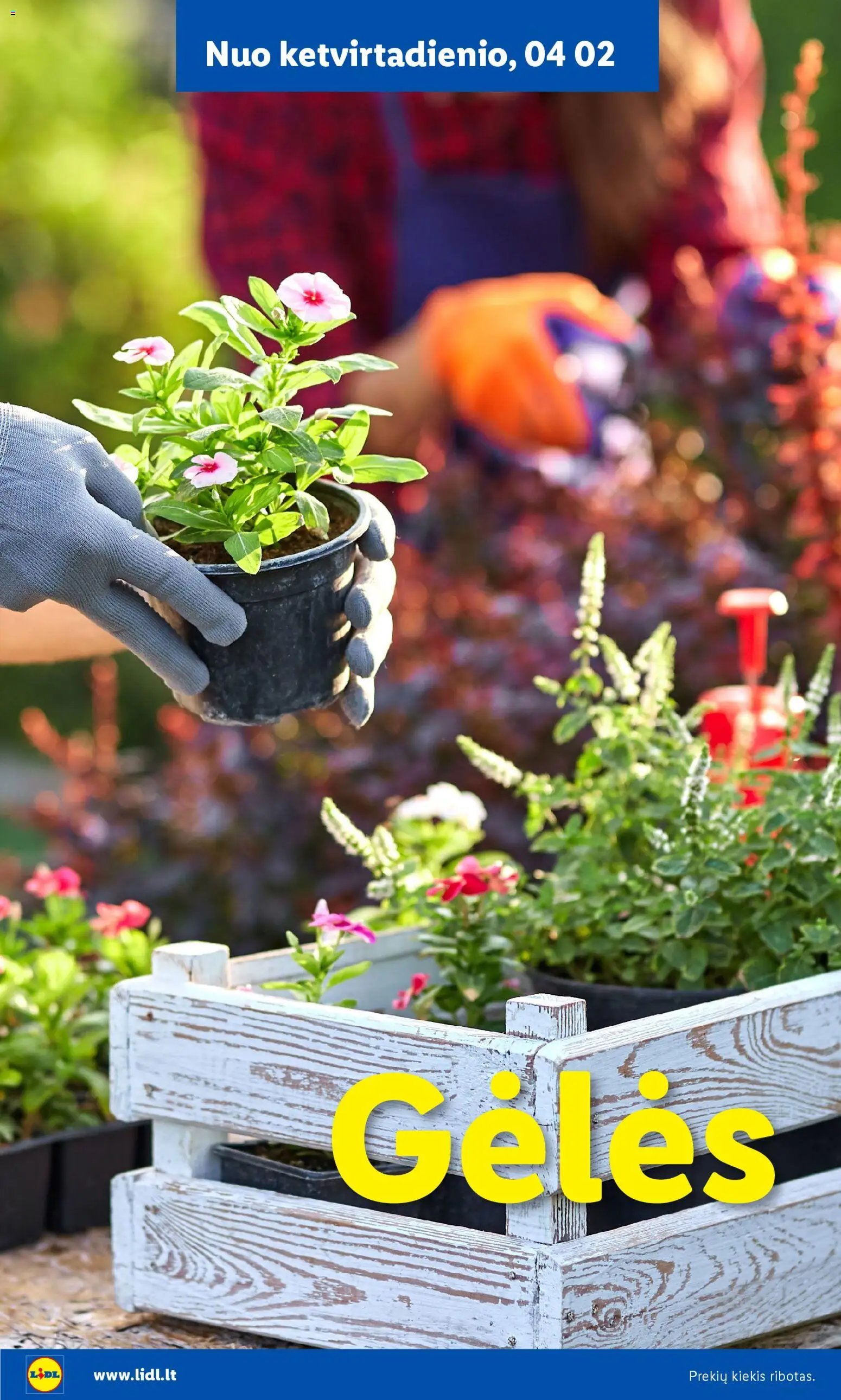 LIDL leidinys - Sodui valio