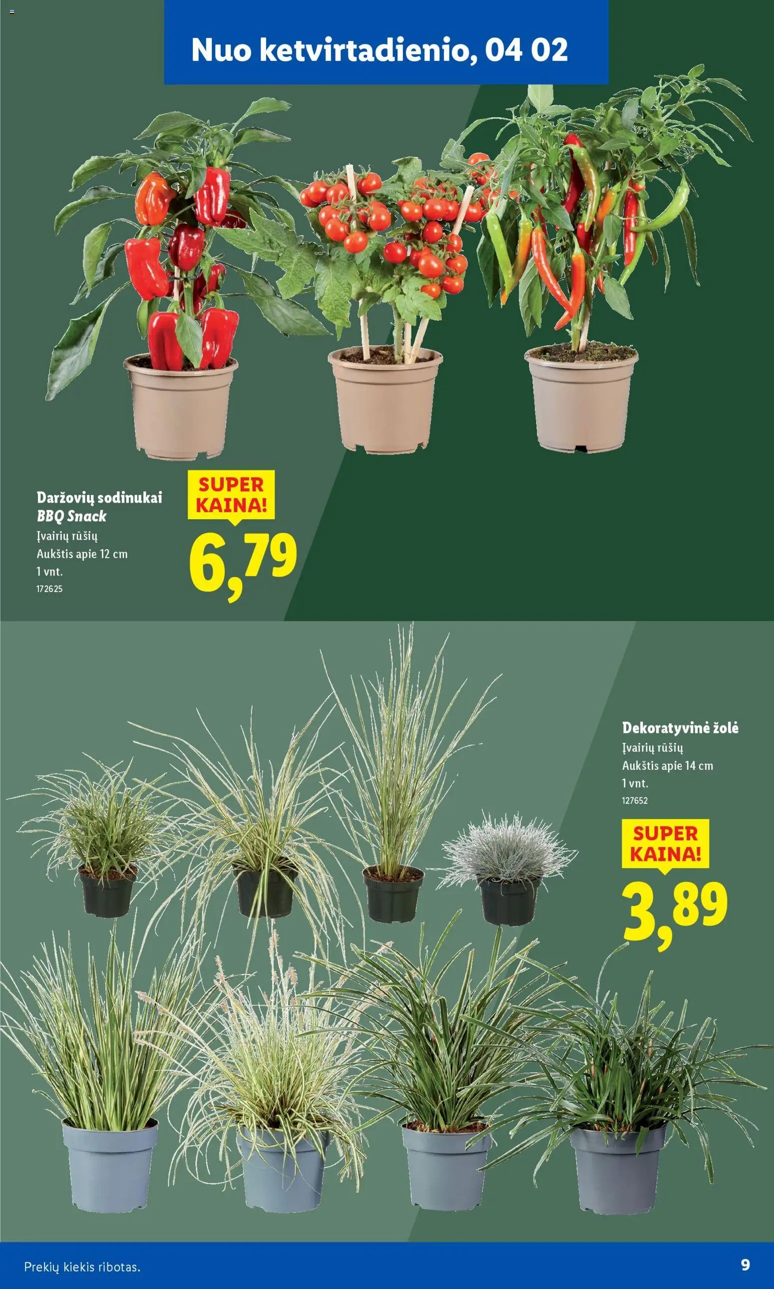 LIDL leidinys - Sodui valio