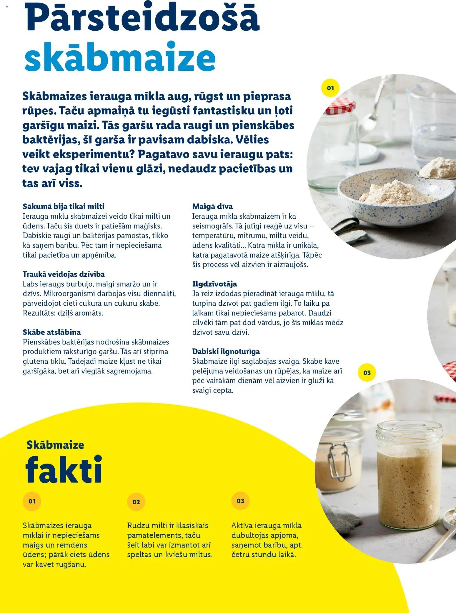 Lidl - Prieka pilnas lieldienas