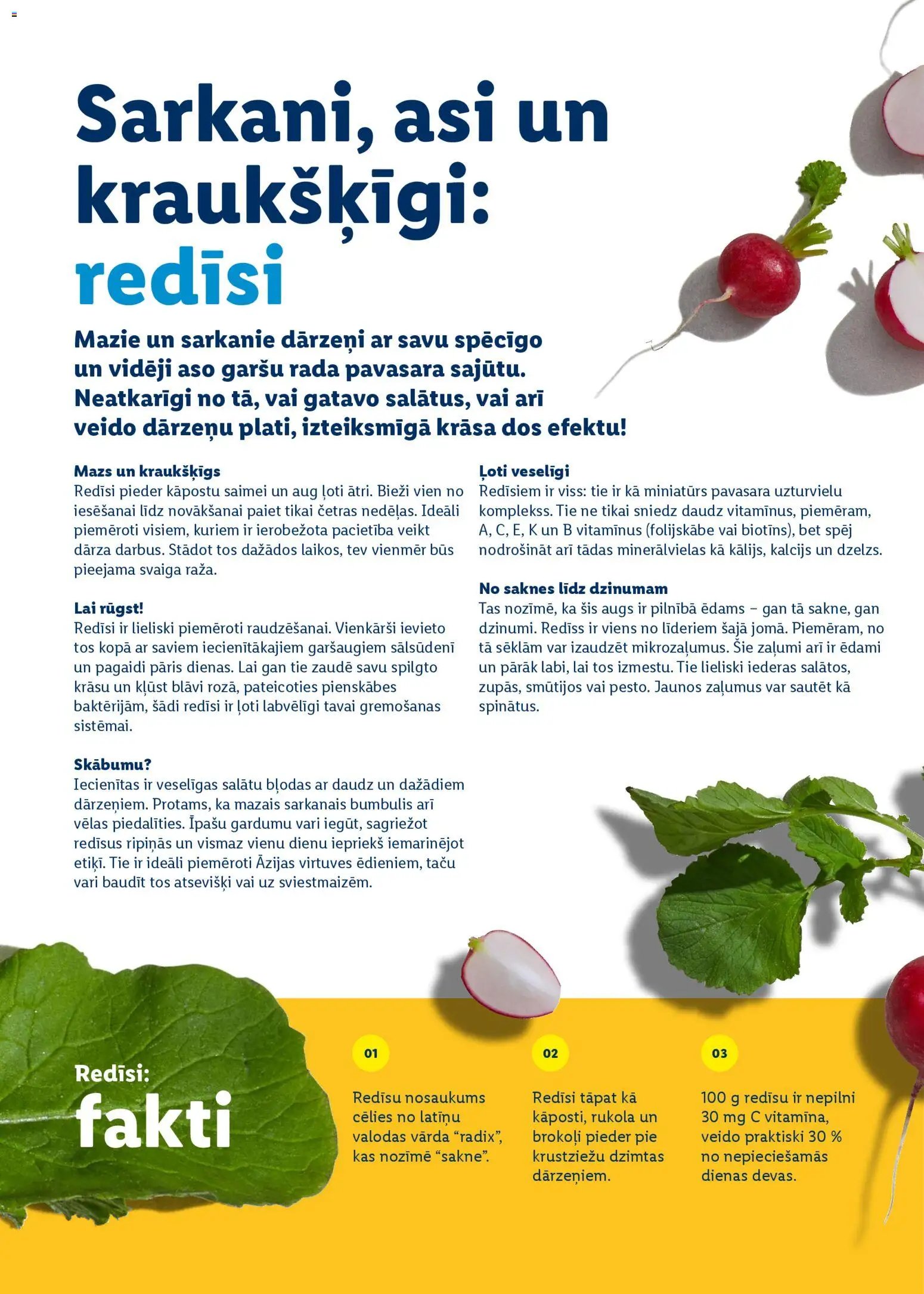 Lidl - Prieka pilnas lieldienas