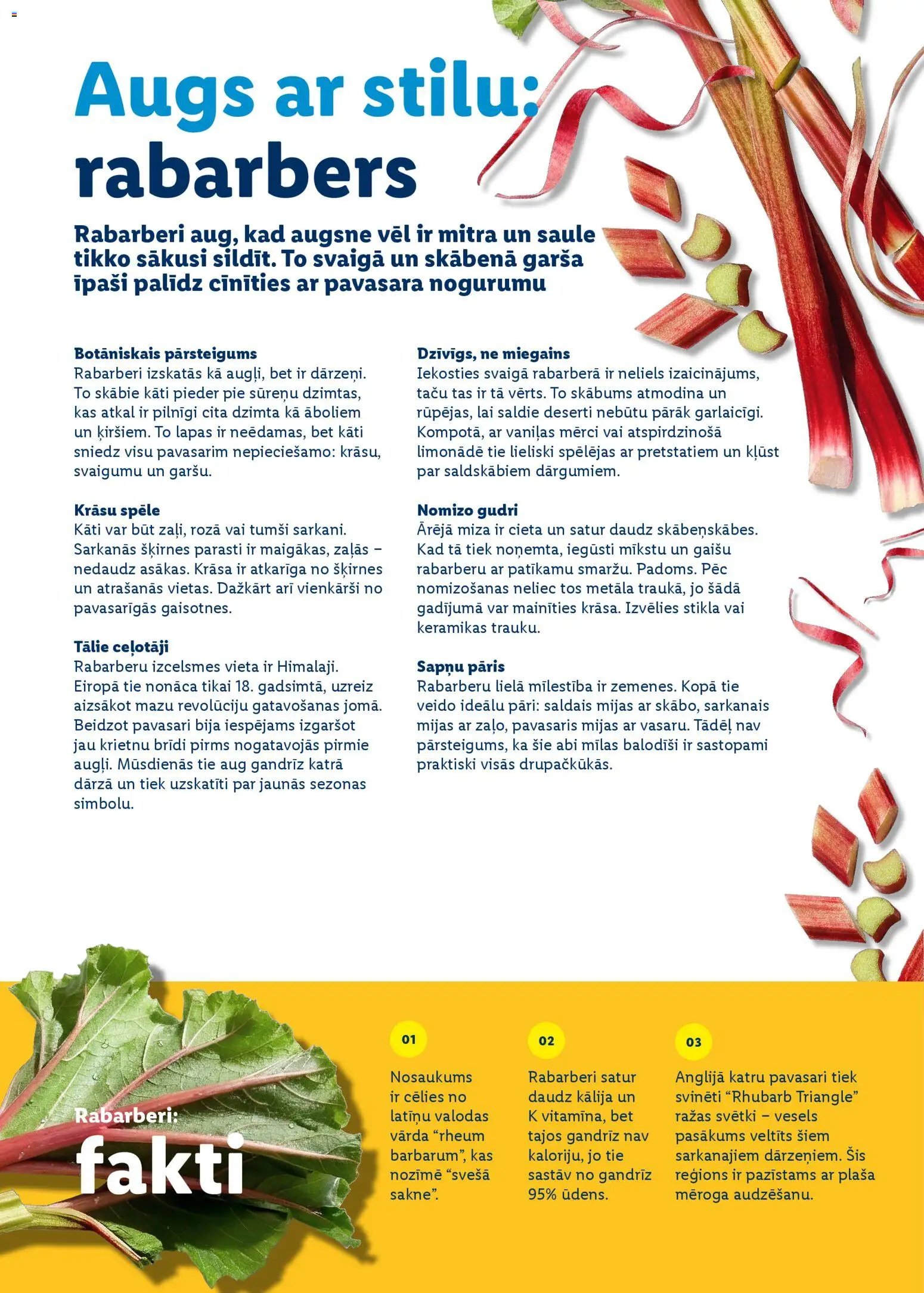 Lidl - Prieka pilnas lieldienas