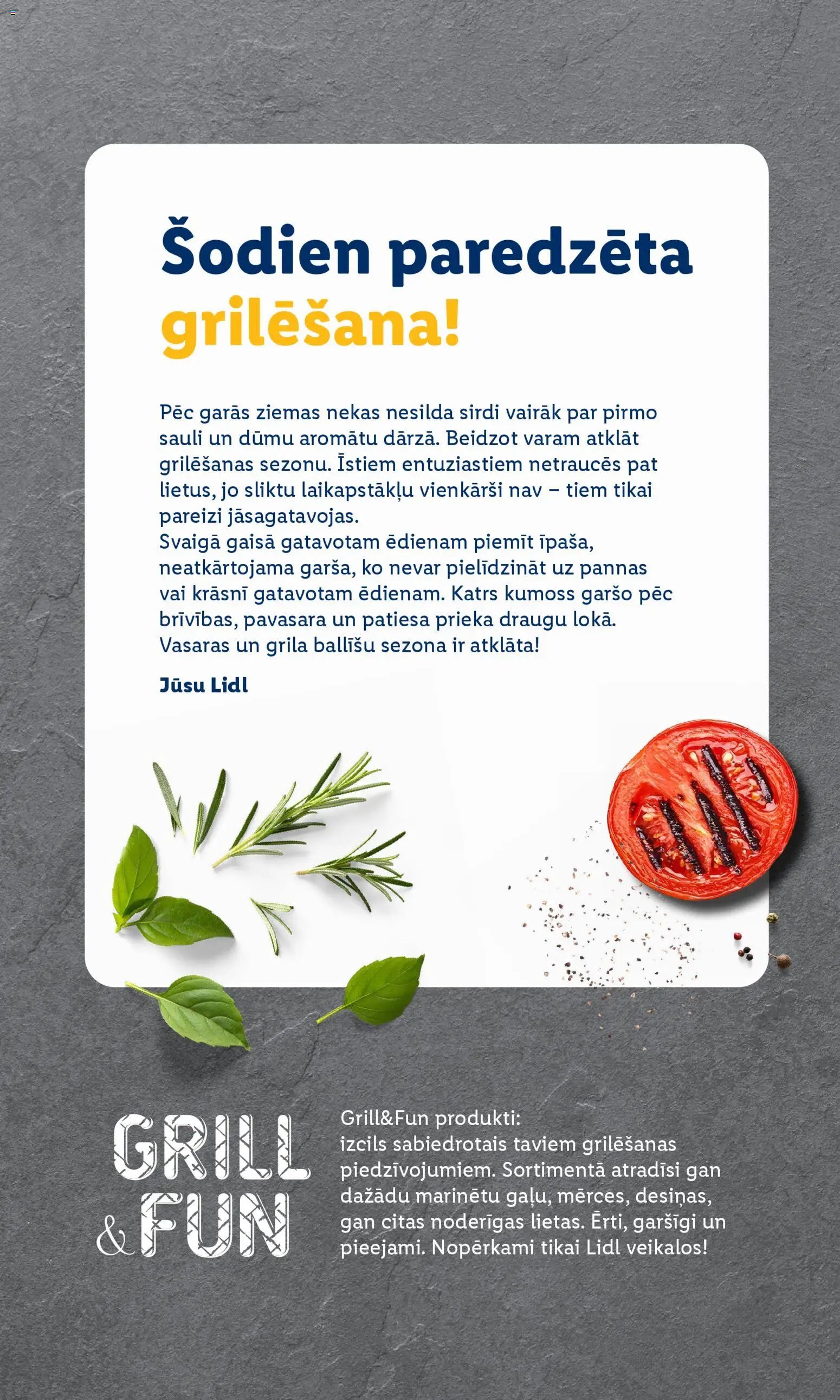 Lidl - Grila katalogs