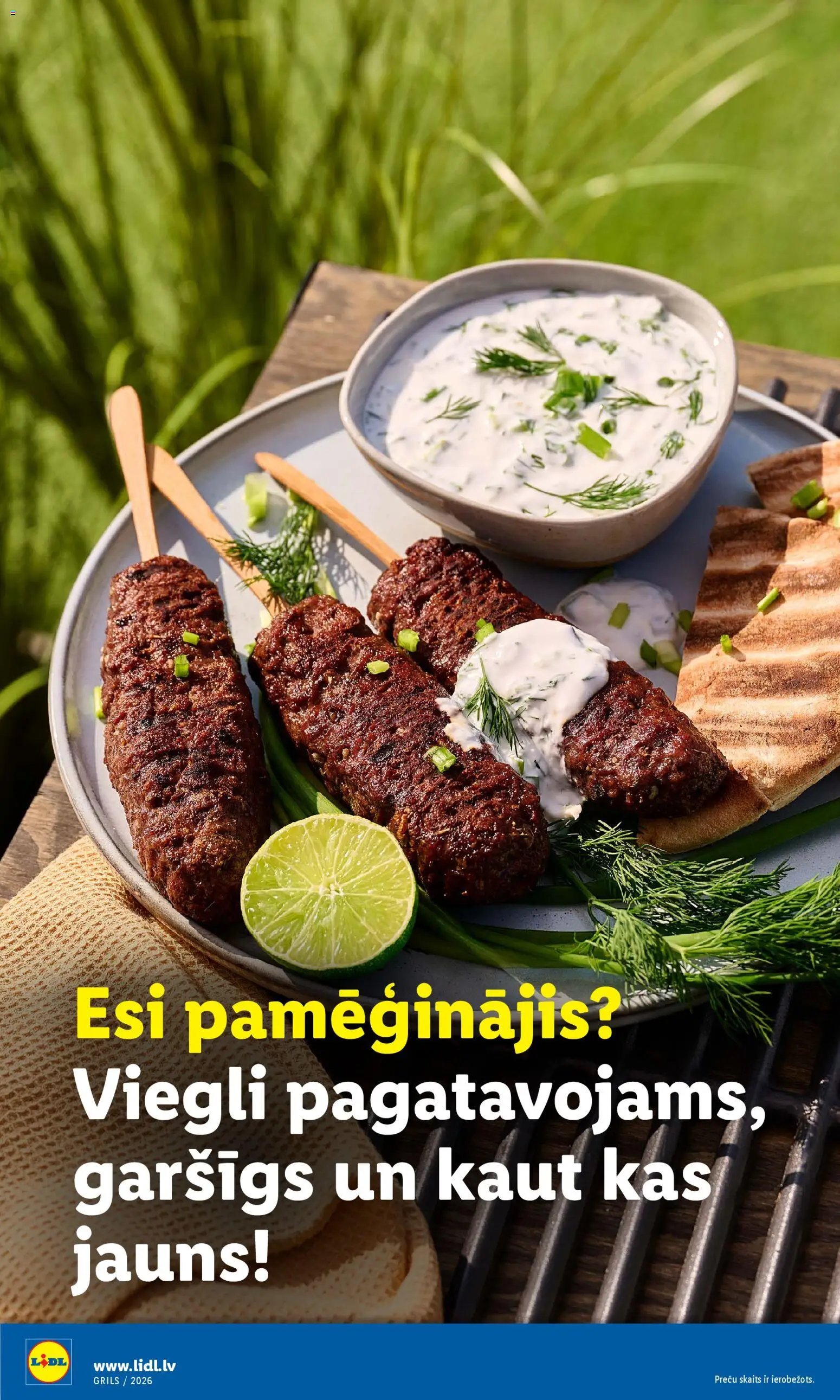 Lidl - Grila katalogs