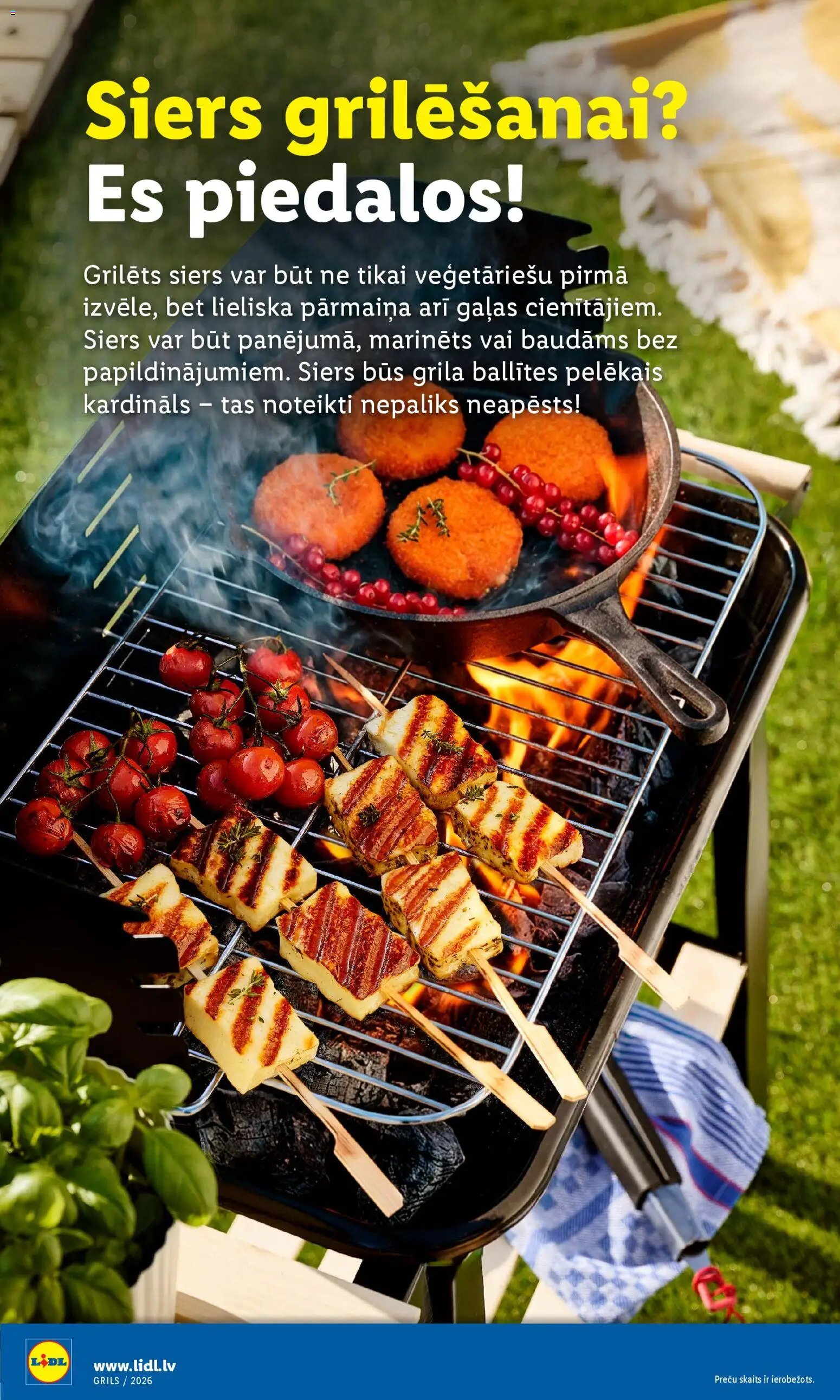 Lidl - Grila katalogs