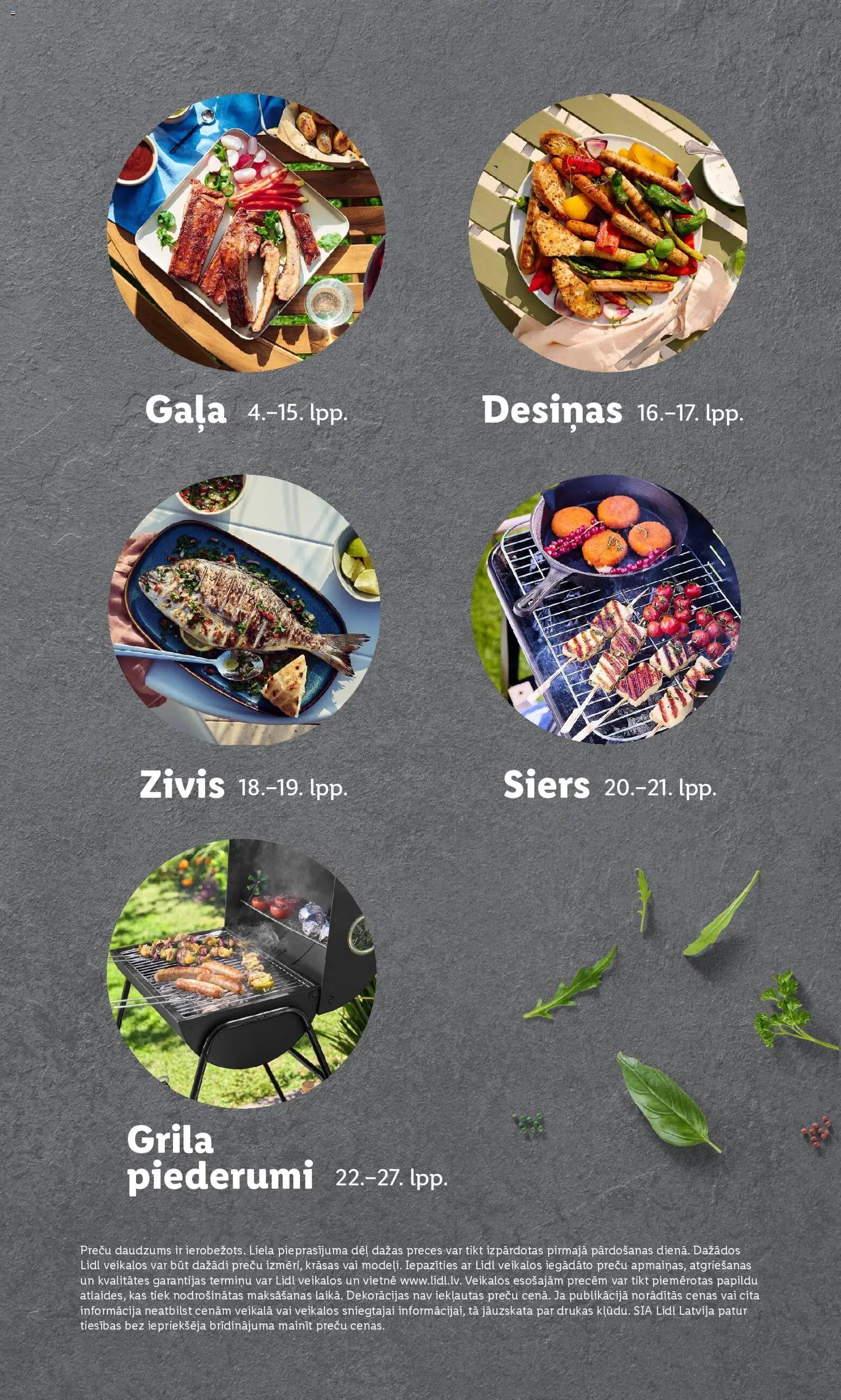 Lidl - Grila katalogs