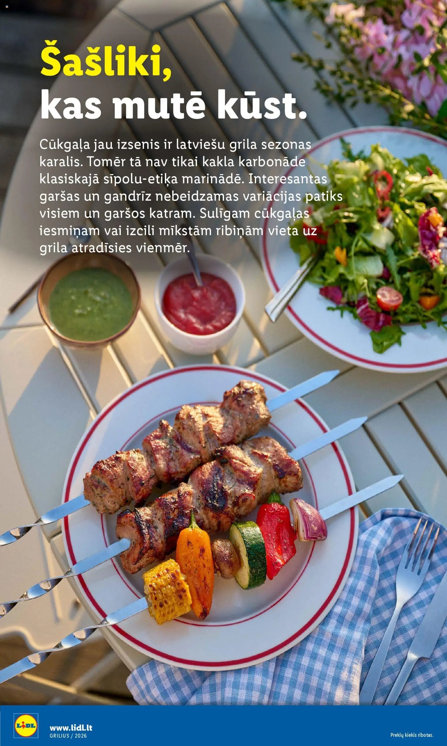 Lidl - Grila katalogs